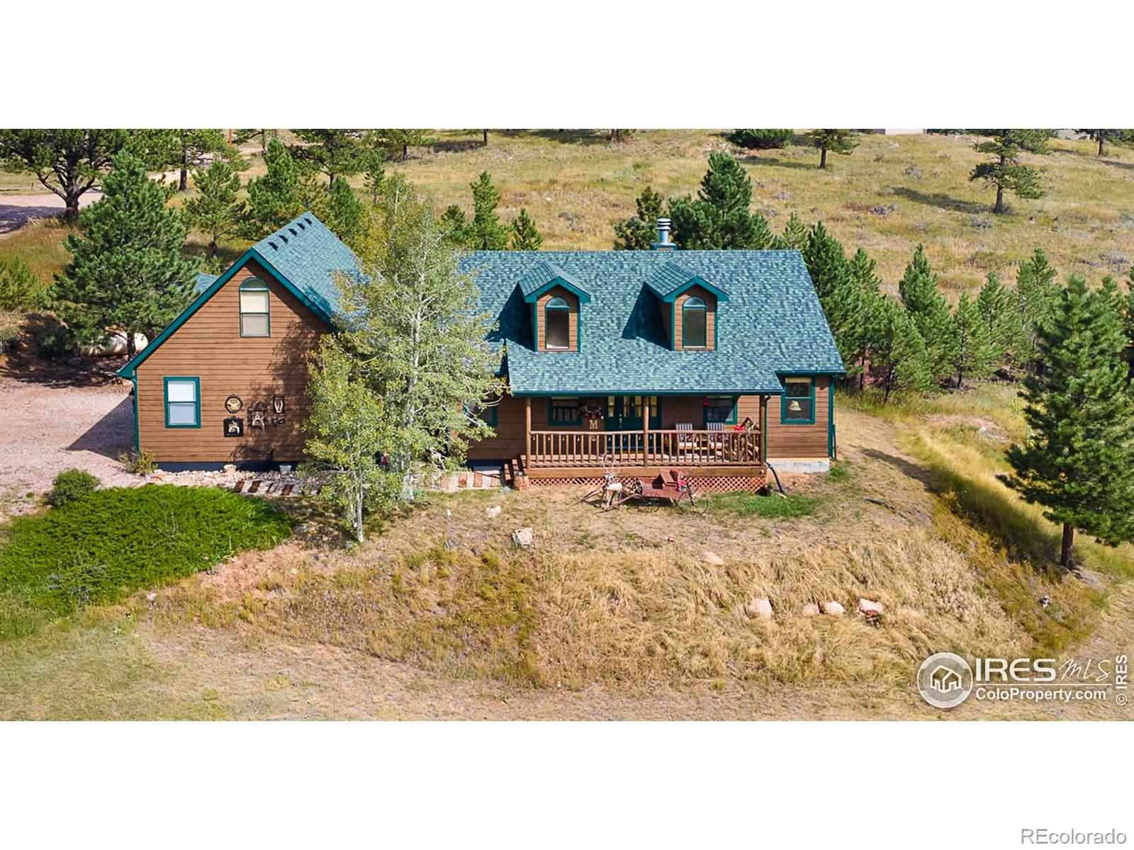 MLS Image #0 for 98  deadhorse mountain court,livermore, Colorado
