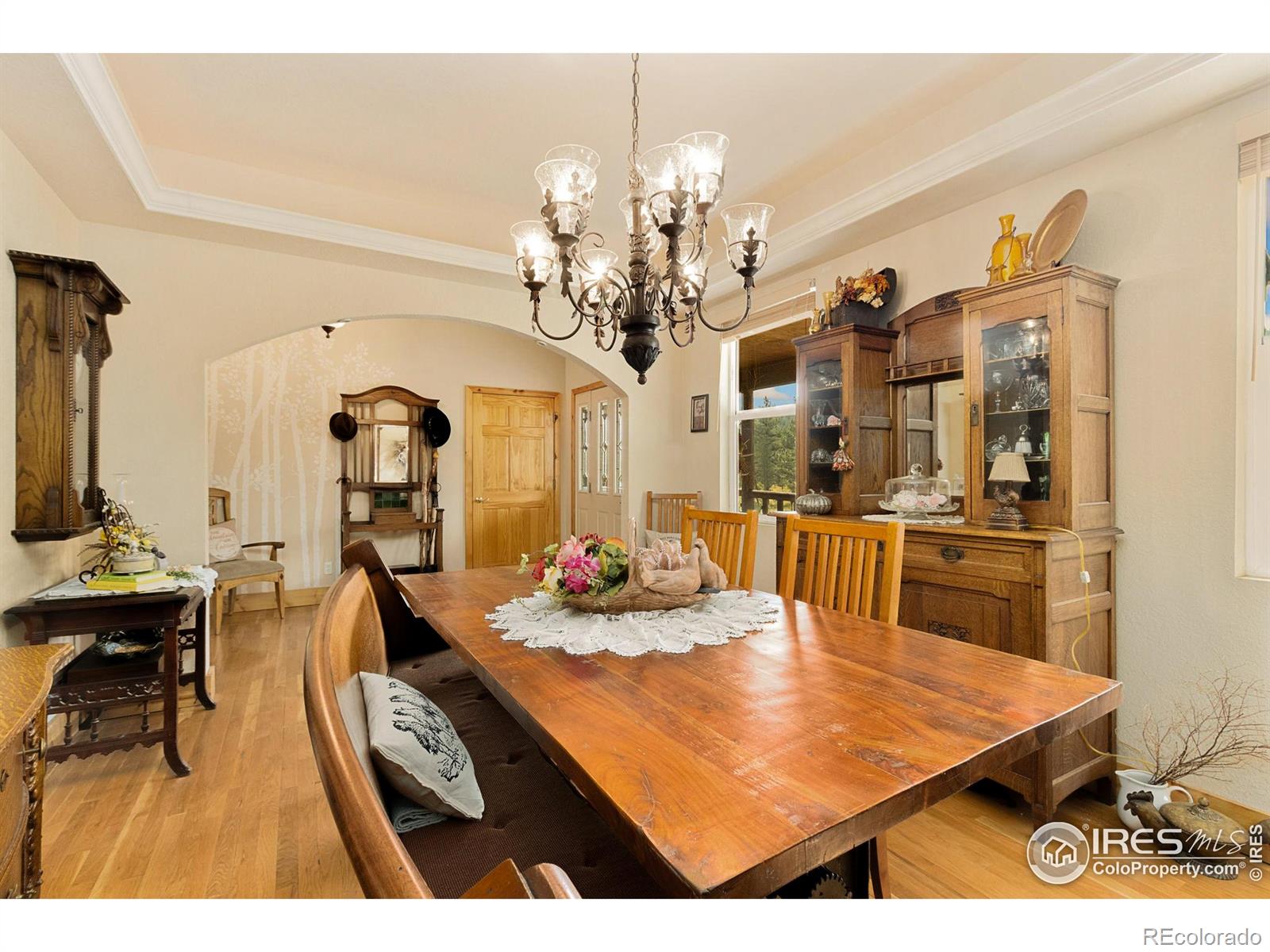 MLS Image #10 for 98  deadhorse mountain court,livermore, Colorado