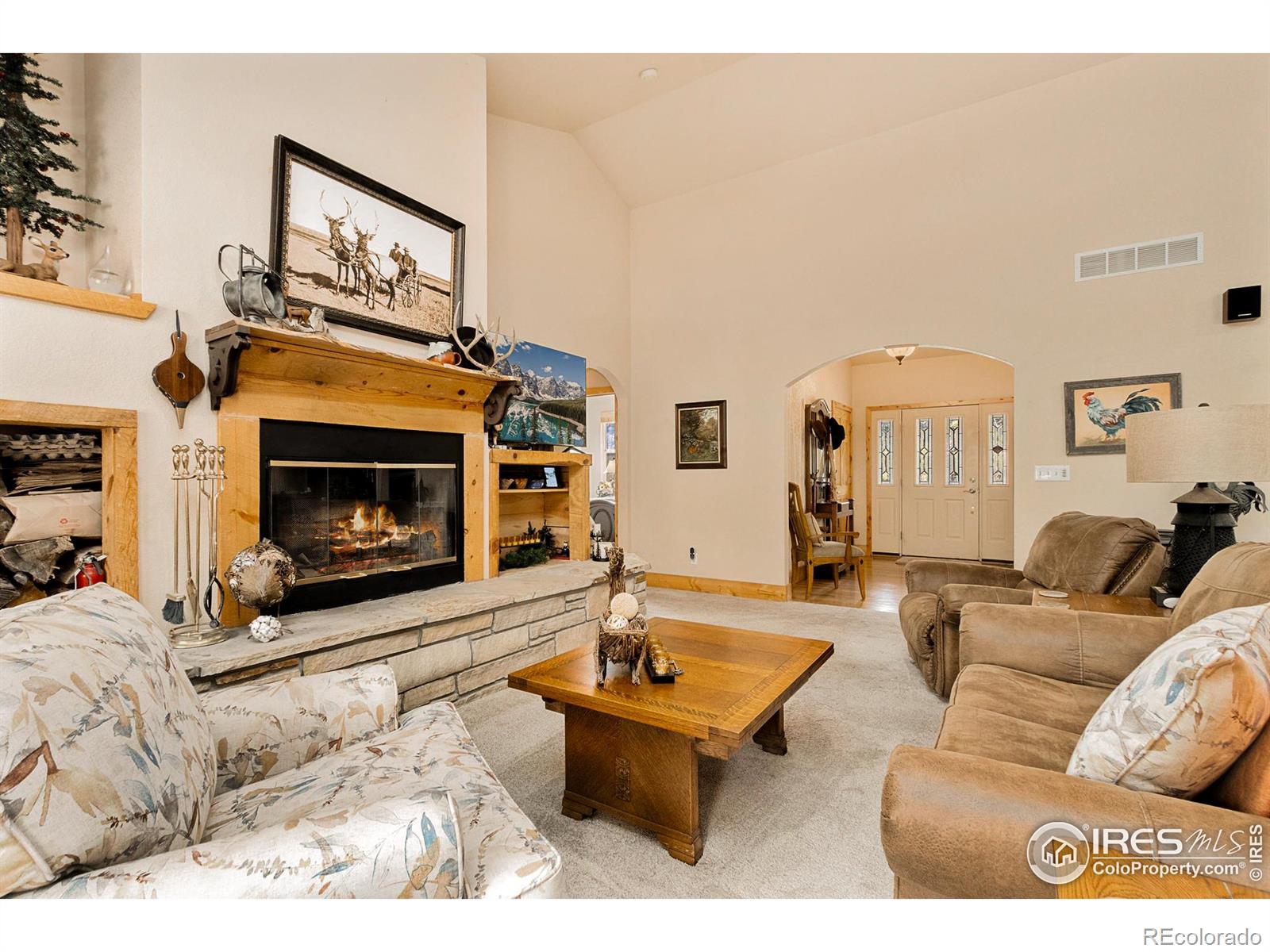 MLS Image #12 for 98  deadhorse mountain court,livermore, Colorado