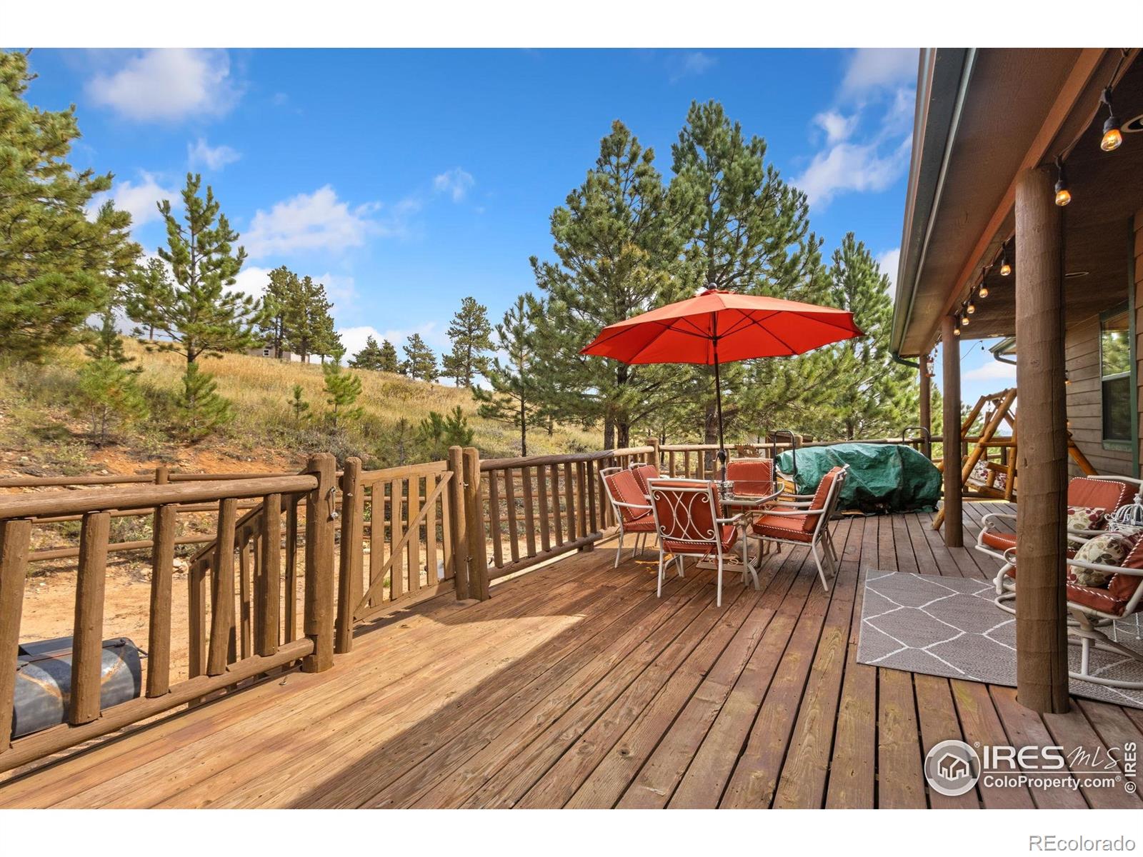MLS Image #15 for 98  deadhorse mountain court,livermore, Colorado