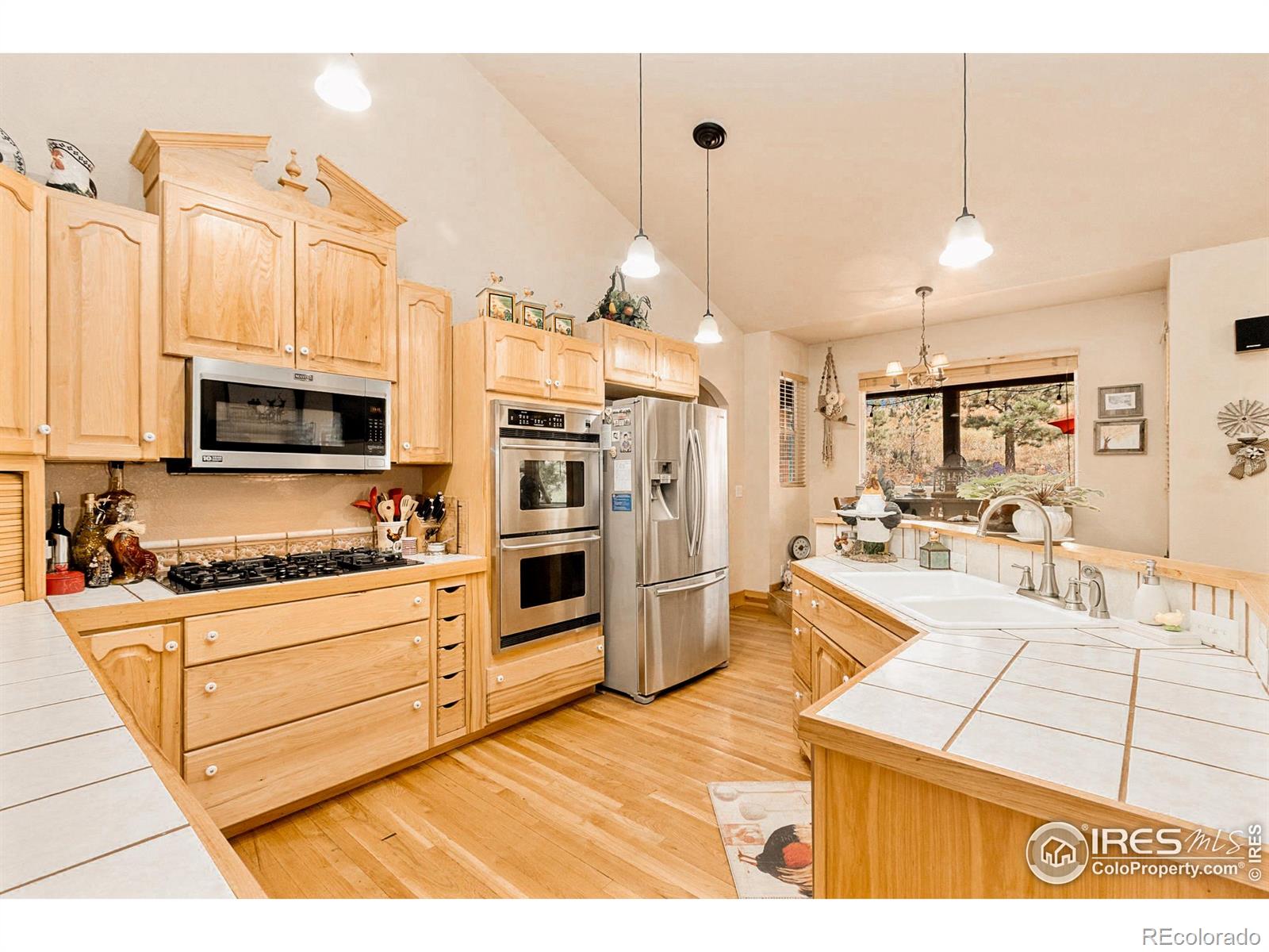 MLS Image #18 for 98  deadhorse mountain court,livermore, Colorado