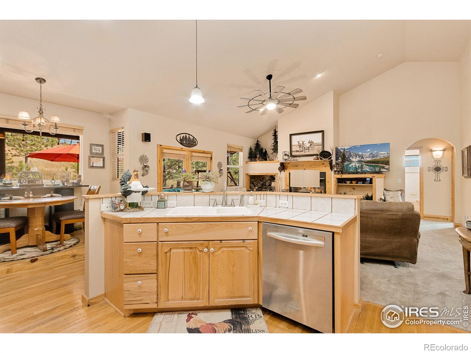 MLS Image #20 for 98  deadhorse mountain court,livermore, Colorado