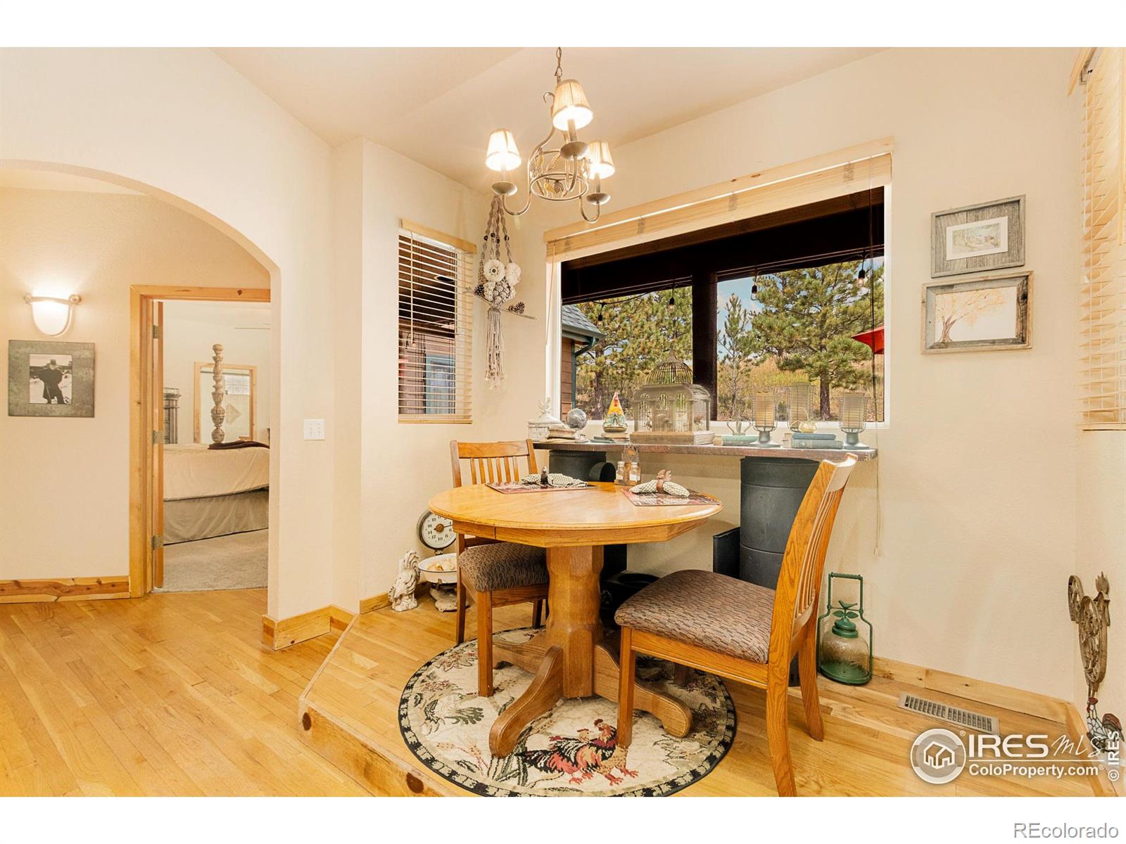 MLS Image #21 for 98  deadhorse mountain court,livermore, Colorado
