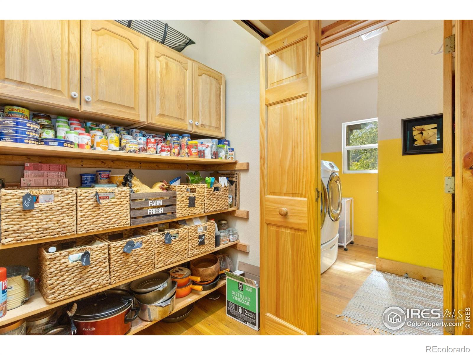 MLS Image #22 for 98  deadhorse mountain court,livermore, Colorado