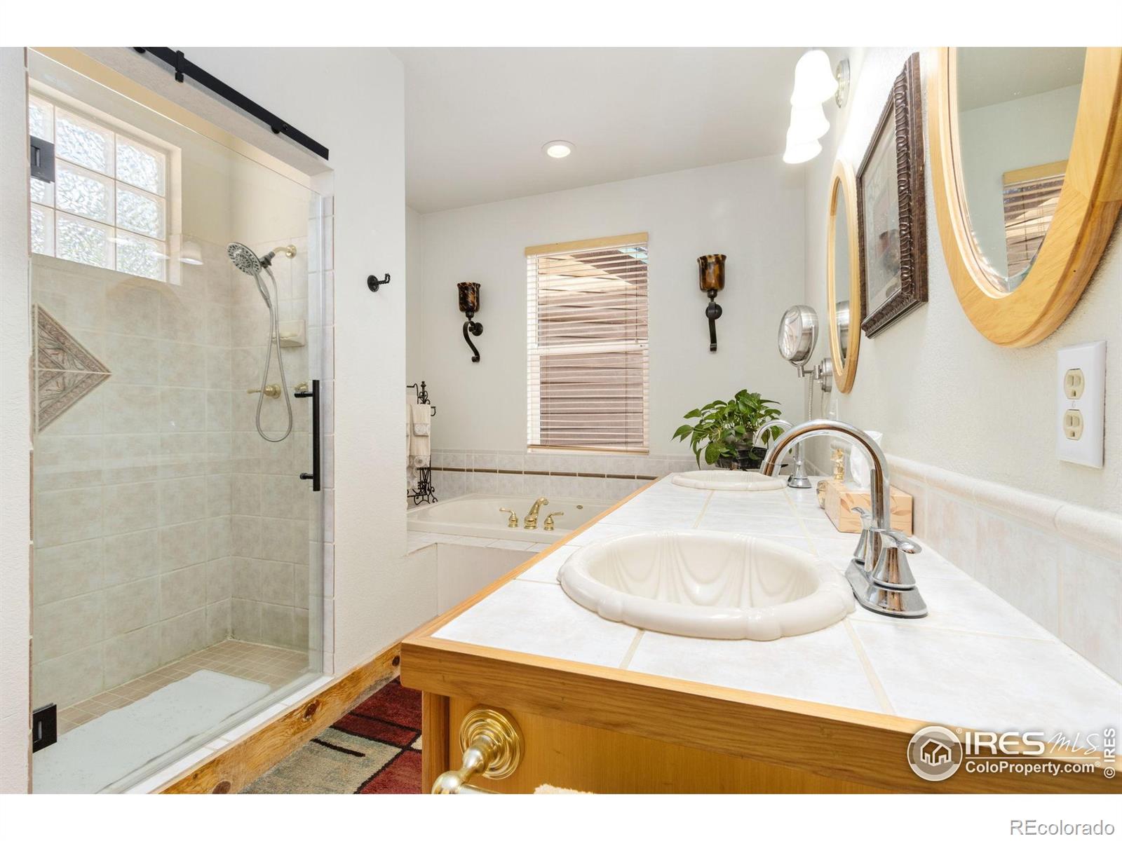 MLS Image #27 for 98  deadhorse mountain court,livermore, Colorado