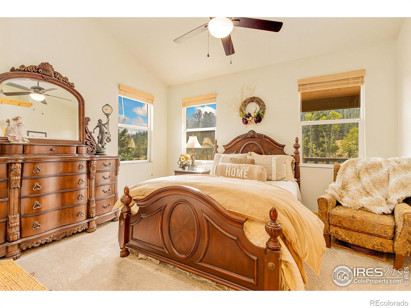 MLS Image #28 for 98  deadhorse mountain court,livermore, Colorado