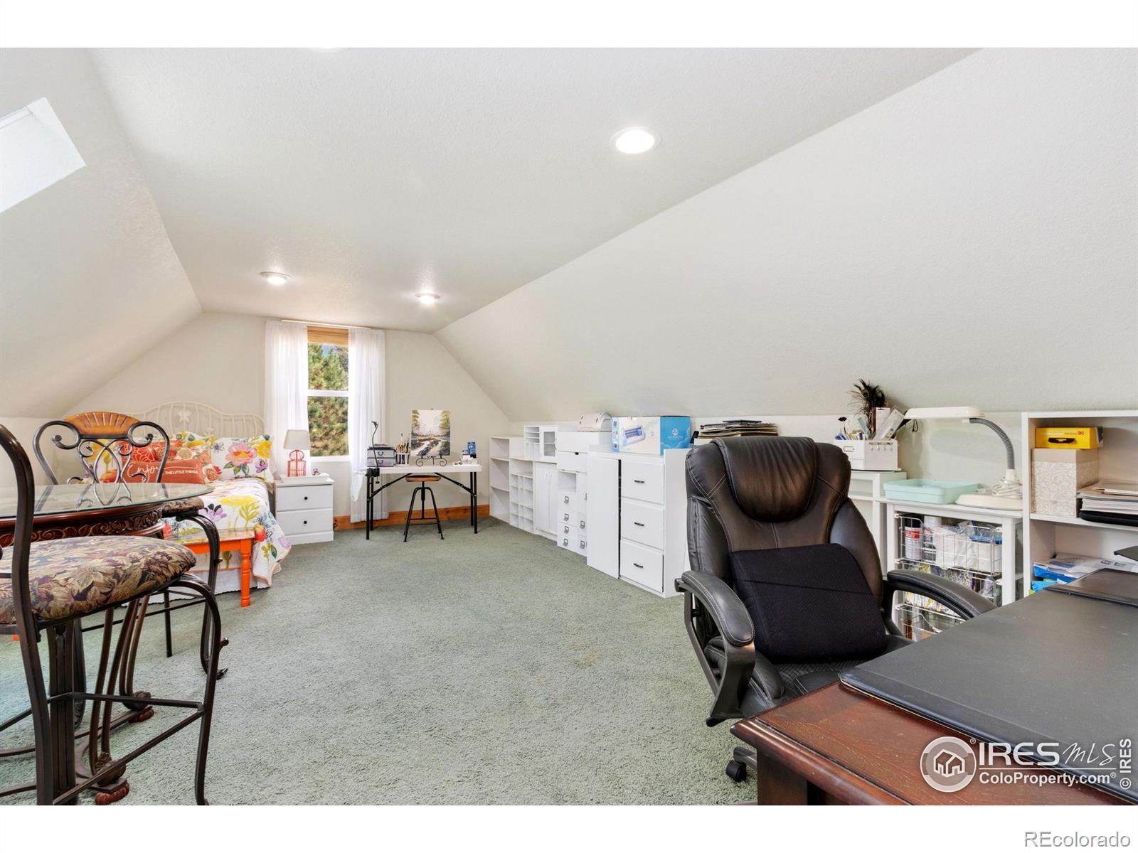 MLS Image #33 for 98  deadhorse mountain court,livermore, Colorado