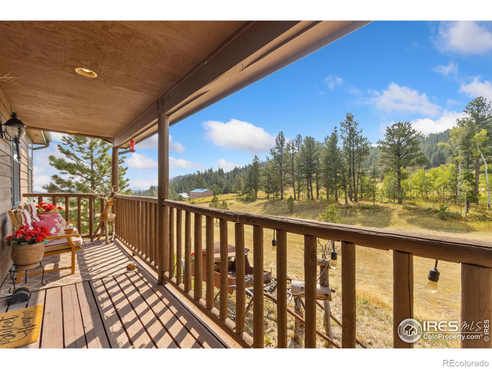 MLS Image #4 for 98  deadhorse mountain court,livermore, Colorado