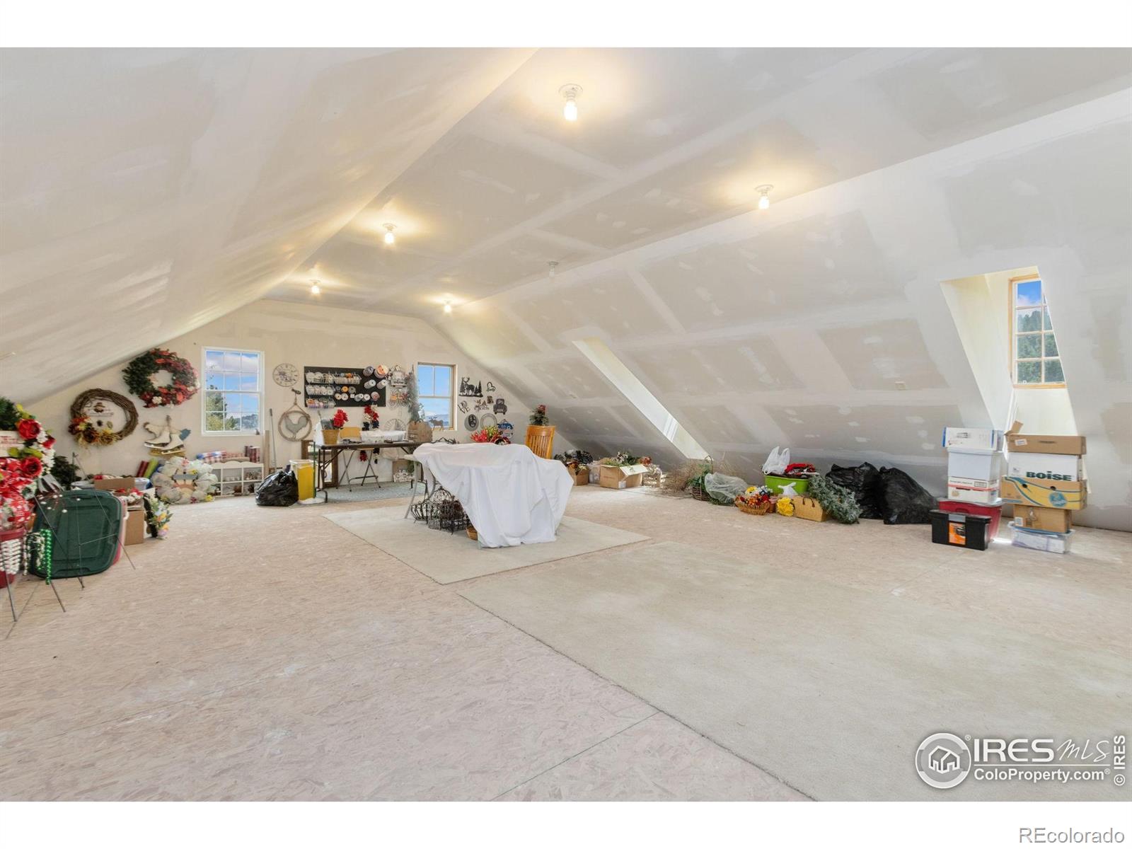 MLS Image #40 for 98  deadhorse mountain court,livermore, Colorado