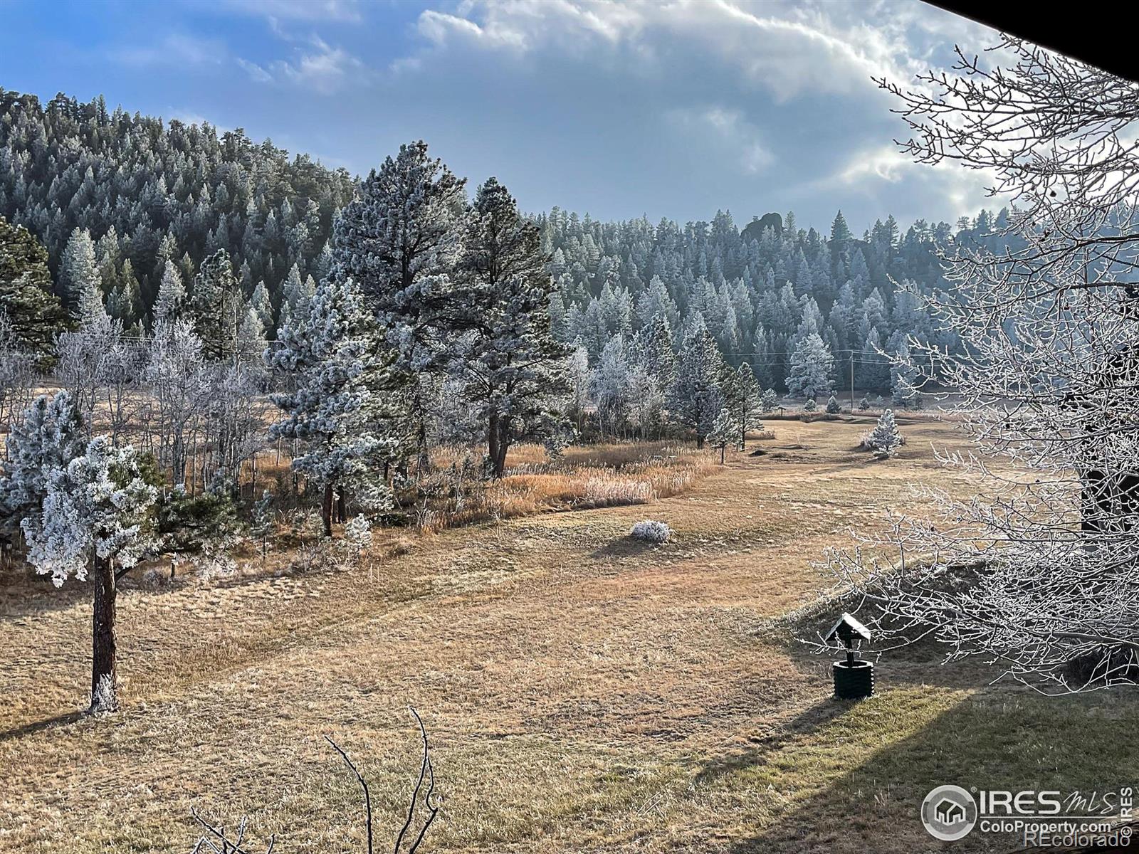 MLS Image #42 for 98  deadhorse mountain court,livermore, Colorado