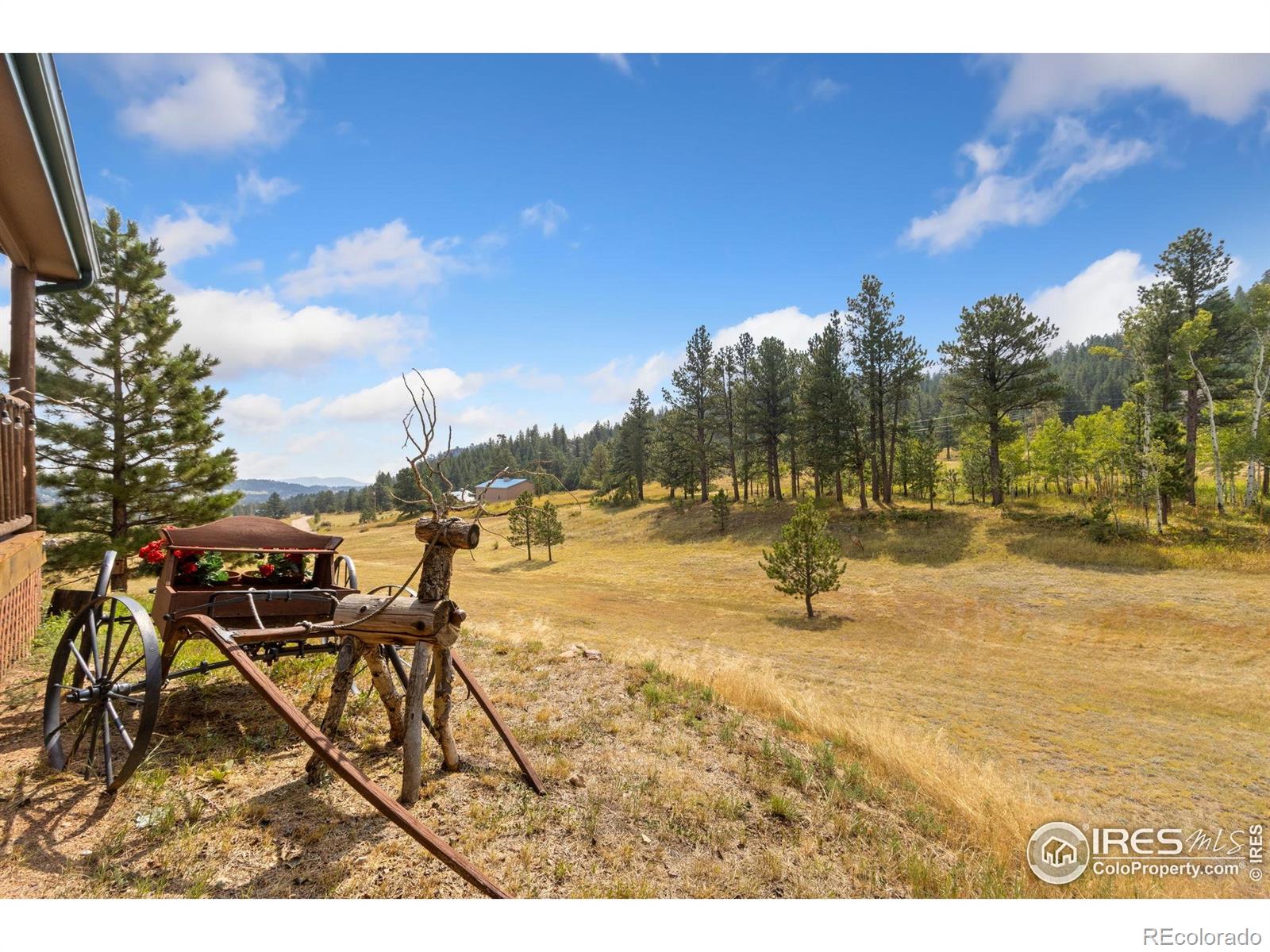MLS Image #6 for 98  deadhorse mountain court,livermore, Colorado