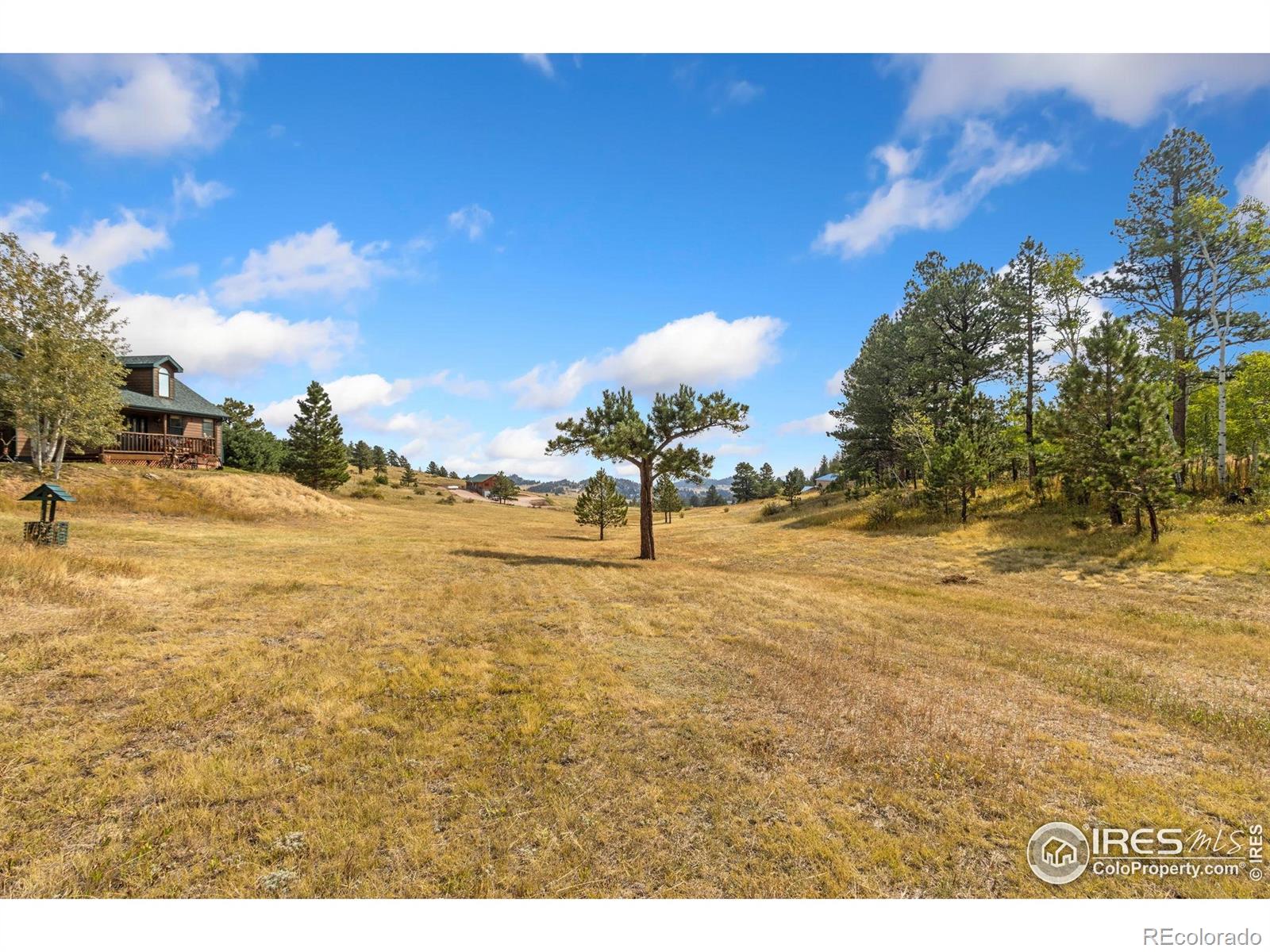 MLS Image #7 for 98  deadhorse mountain court,livermore, Colorado