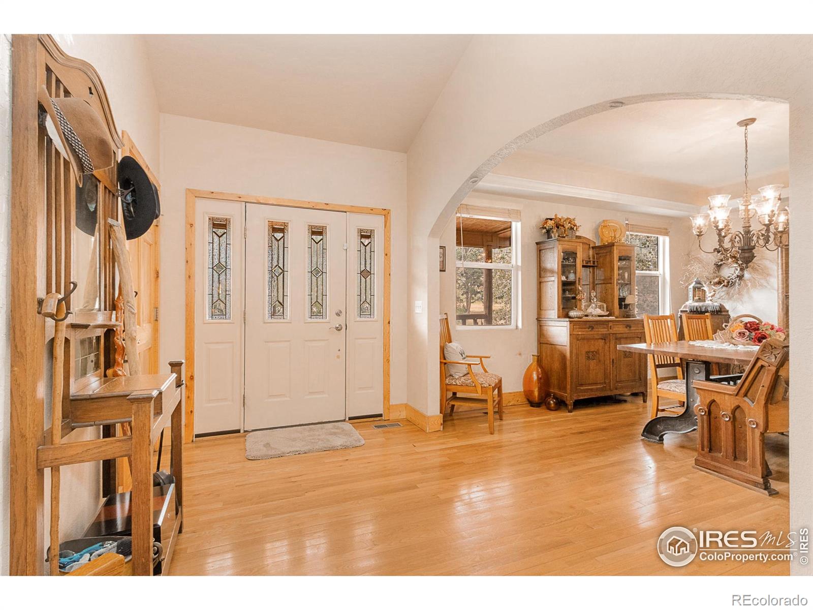 MLS Image #8 for 98  deadhorse mountain court,livermore, Colorado