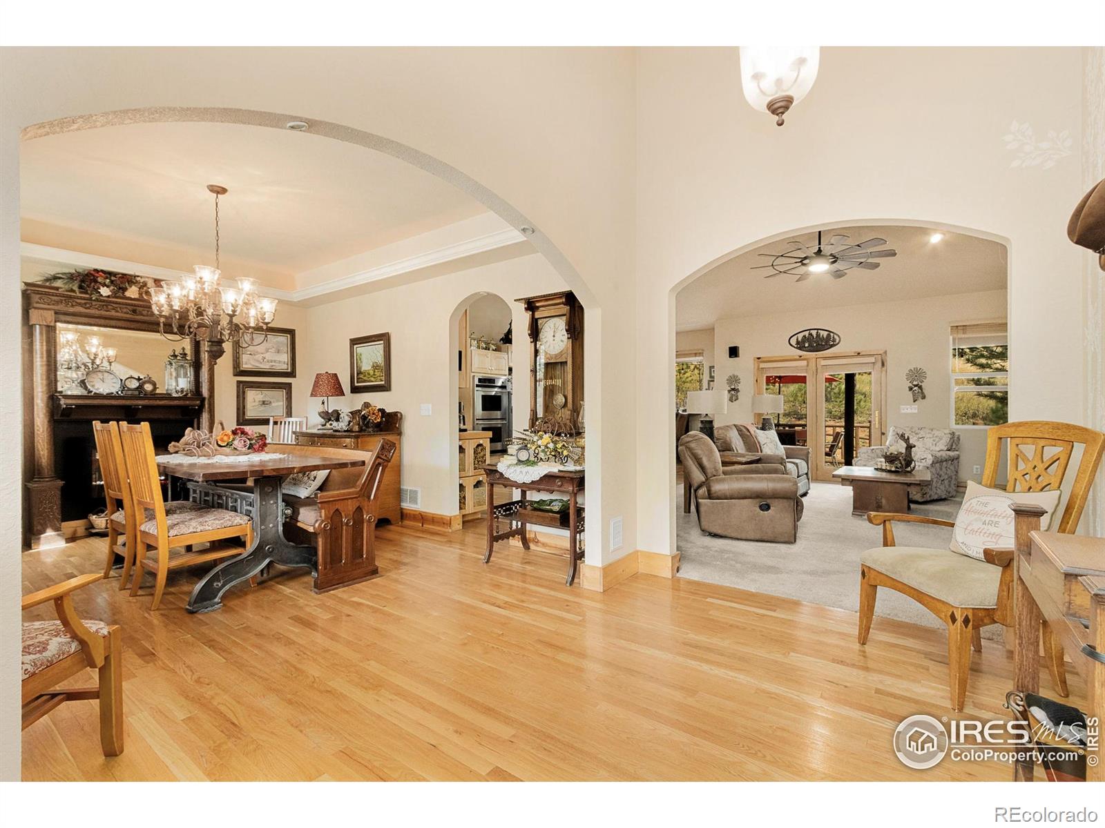 MLS Image #9 for 98  deadhorse mountain court,livermore, Colorado