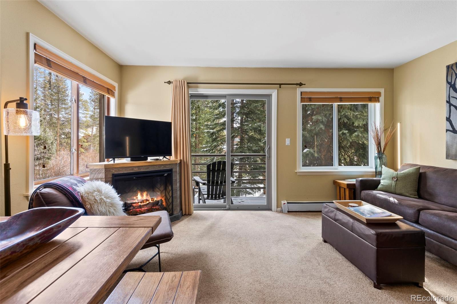 MLS Image #1 for 120  sawmill road 205,breckenridge, Colorado