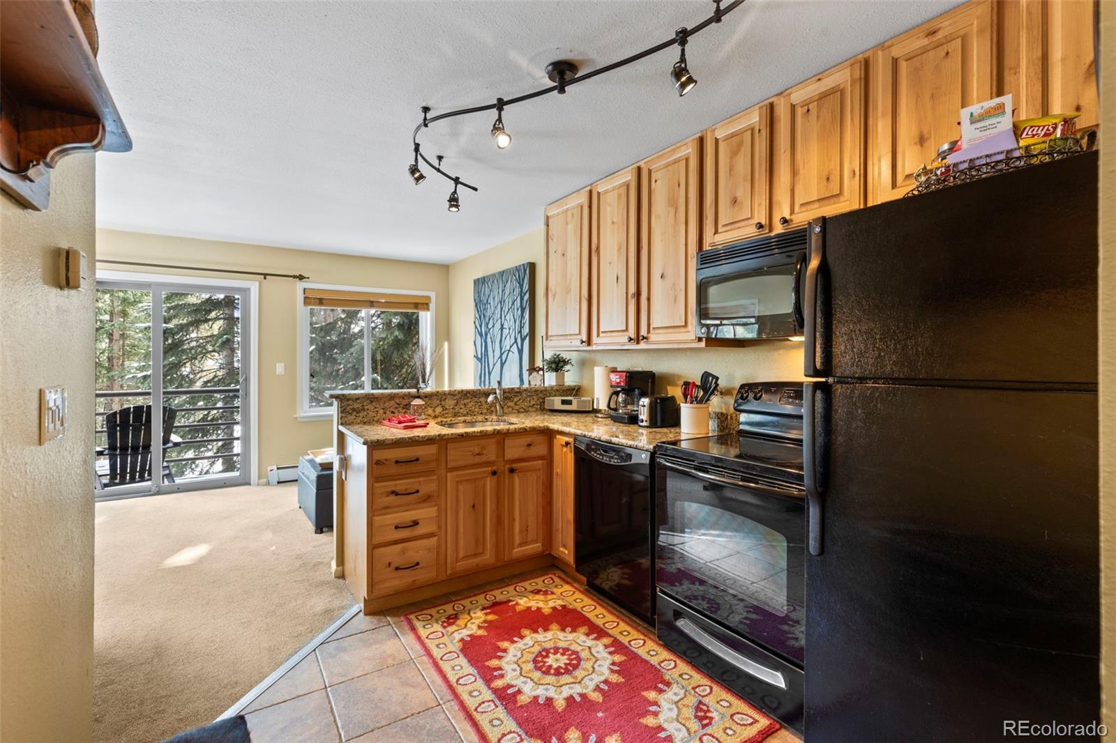MLS Image #15 for 120  sawmill road 205,breckenridge, Colorado