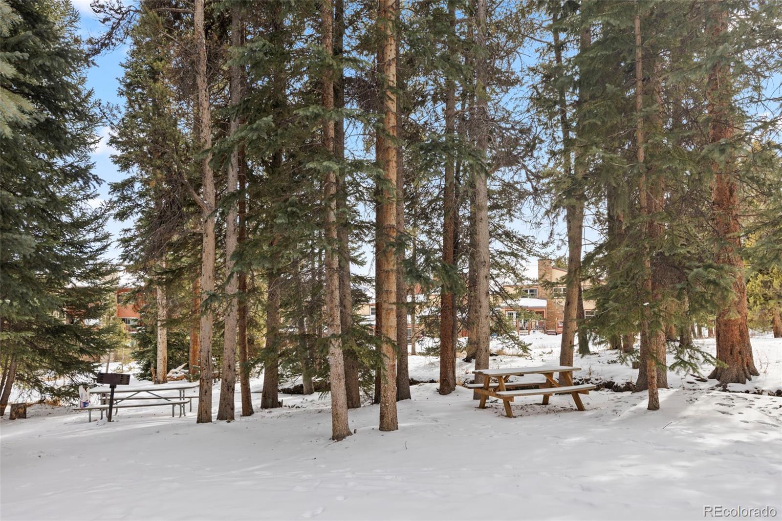 MLS Image #33 for 120  sawmill road 205,breckenridge, Colorado