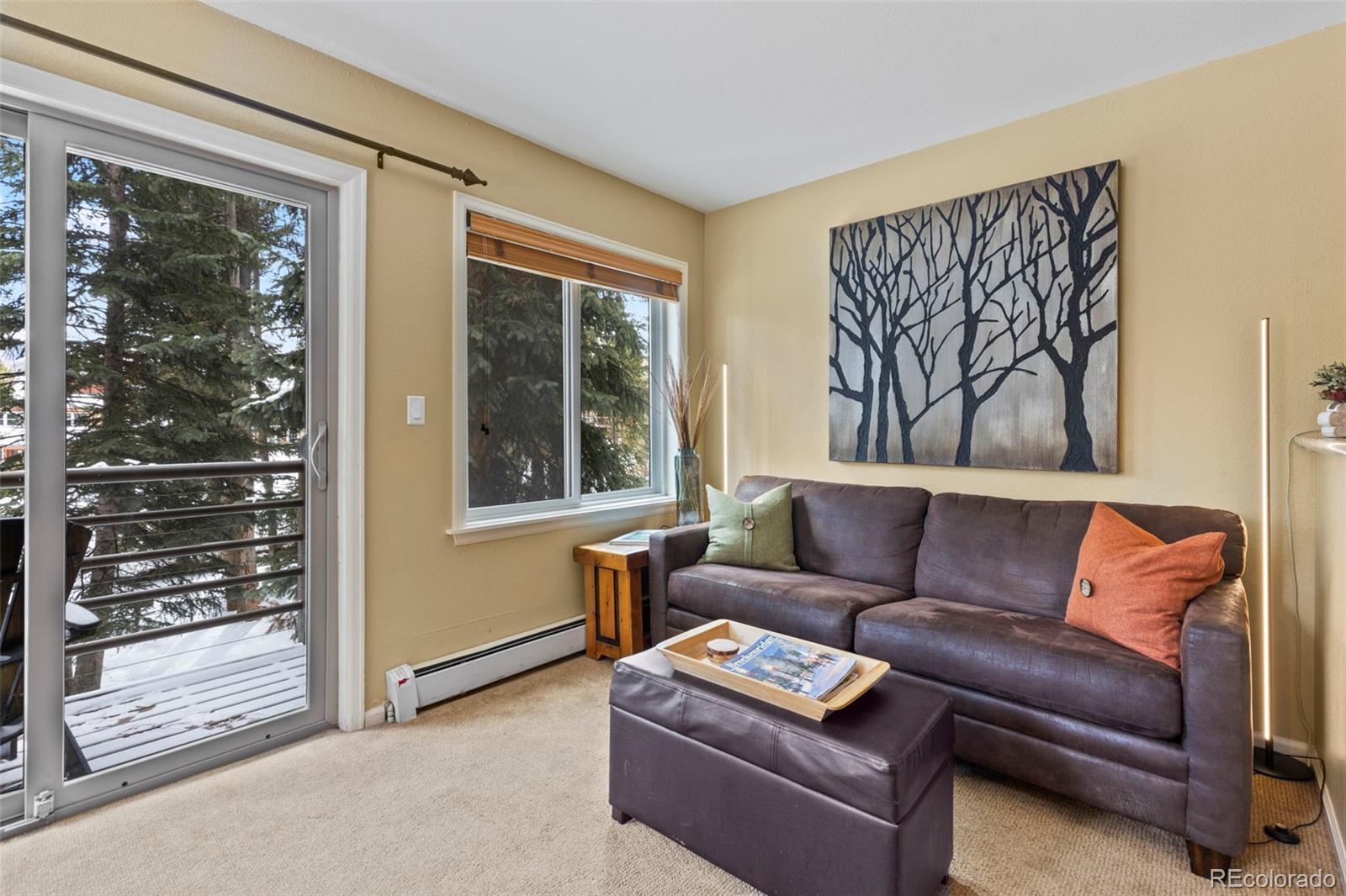 MLS Image #4 for 120  sawmill road 205,breckenridge, Colorado