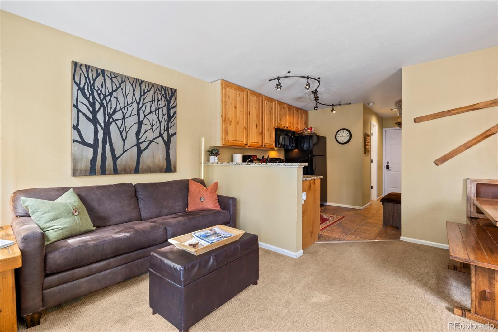 MLS Image #5 for 120  sawmill road 205,breckenridge, Colorado