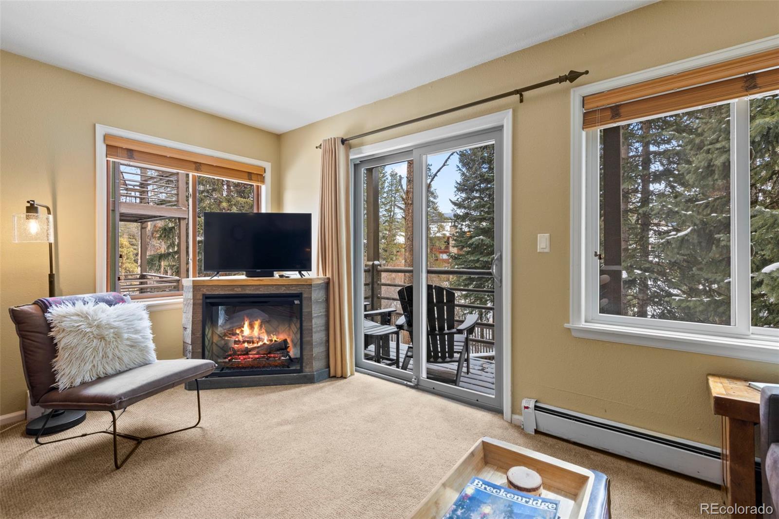 MLS Image #7 for 120  sawmill road 205,breckenridge, Colorado