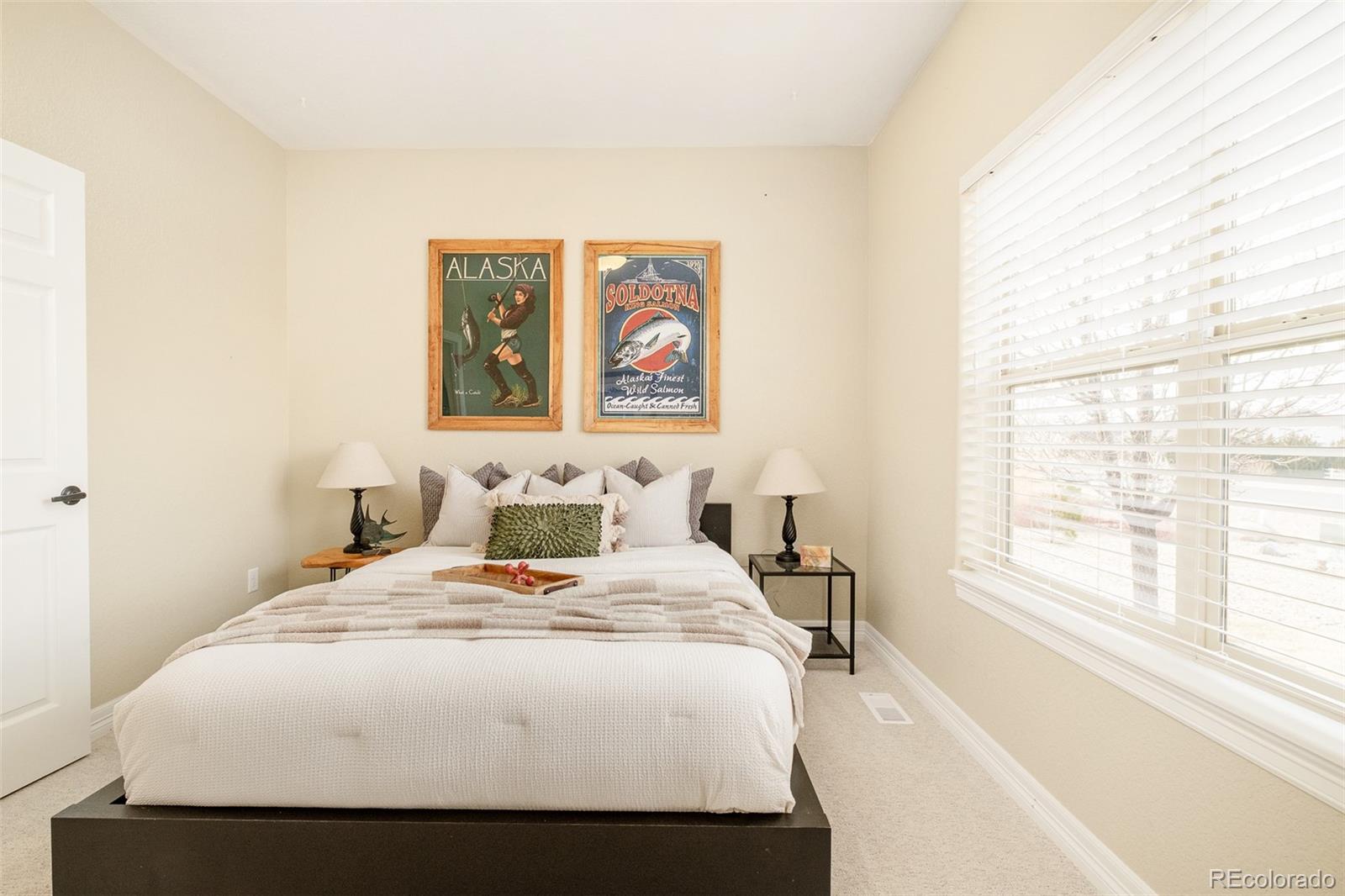 MLS Image #24 for 6124 e 162nd avenue,brighton, Colorado