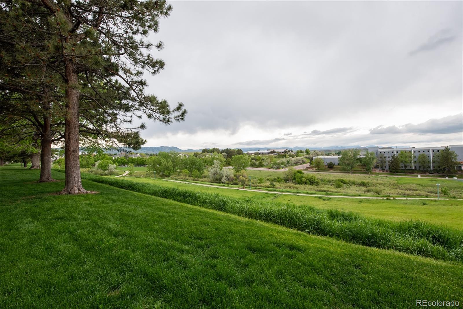 MLS Image #1 for 431  wright street 203,lakewood, Colorado