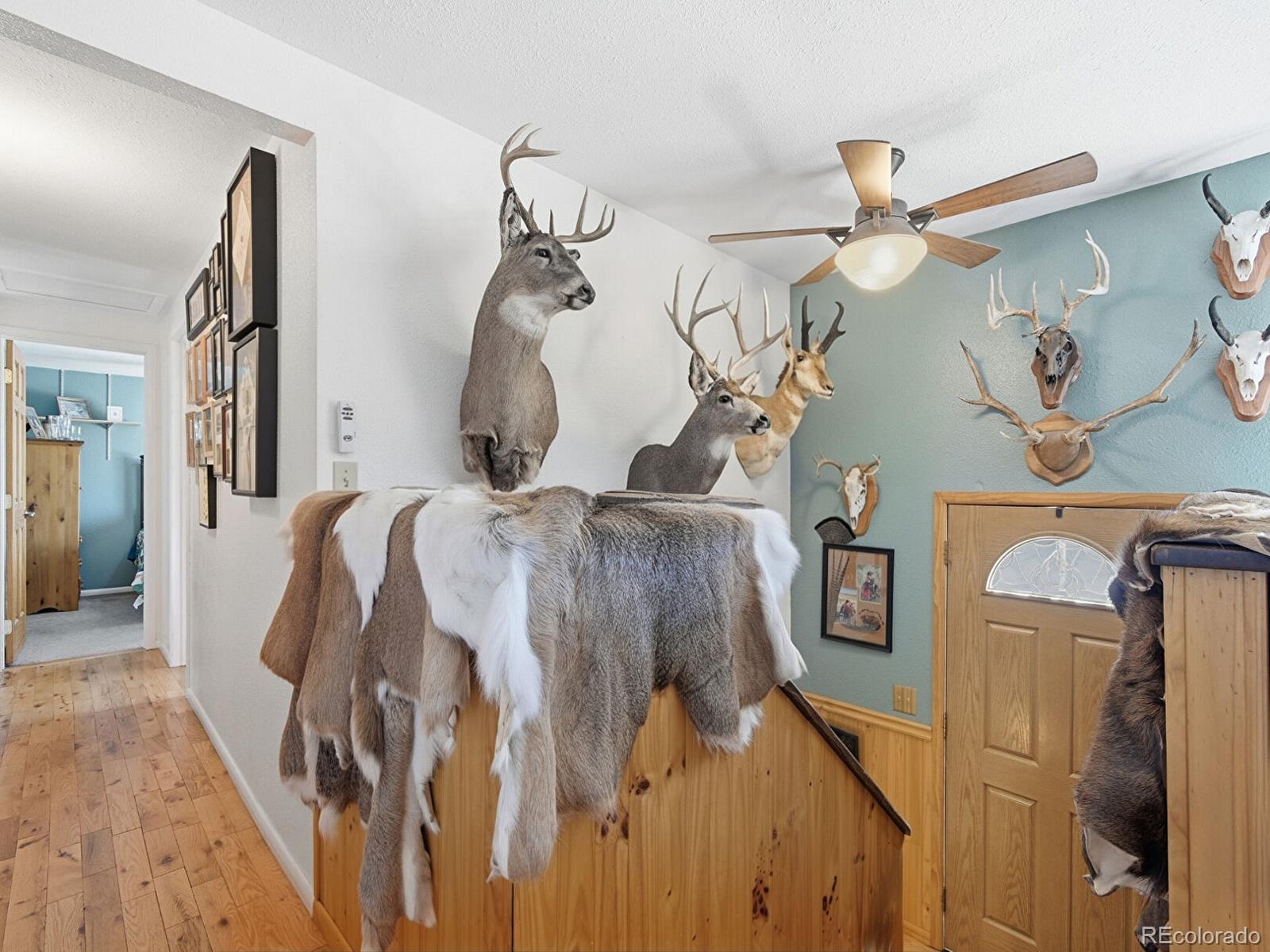MLS Image #10 for 399  conifer drive,bailey, Colorado