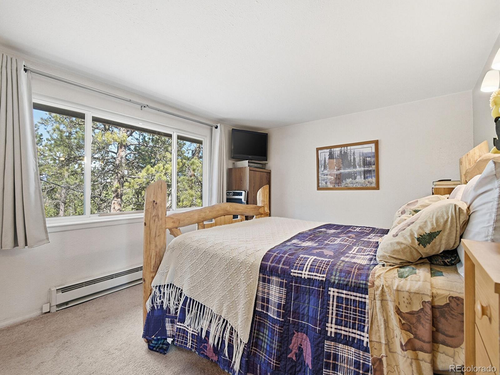 MLS Image #12 for 399  conifer drive,bailey, Colorado