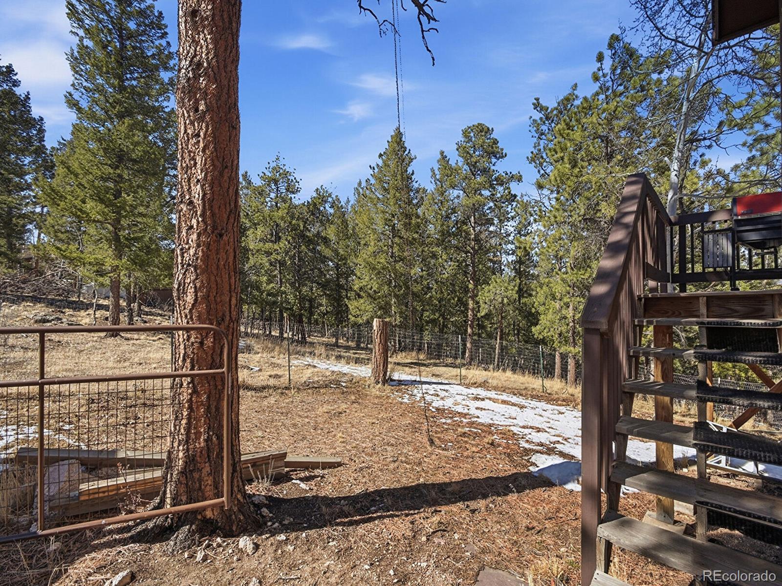 MLS Image #16 for 399  conifer drive,bailey, Colorado