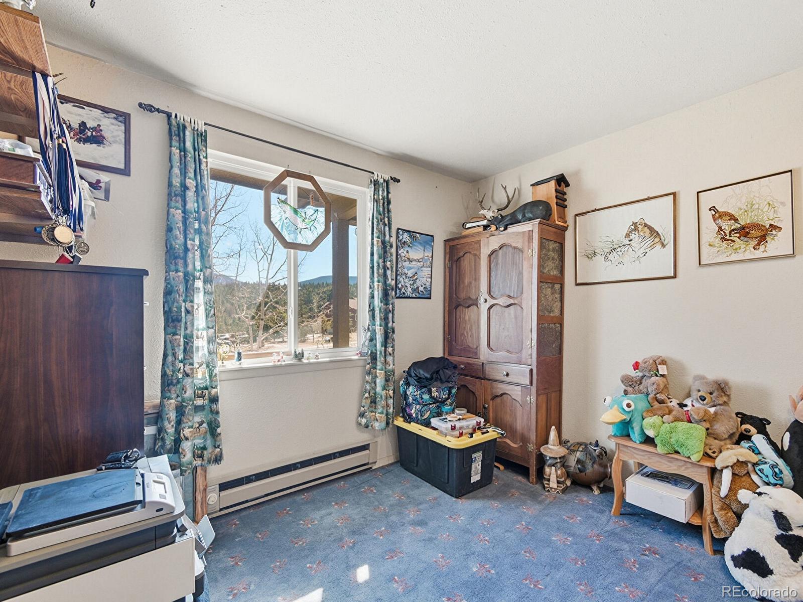 MLS Image #22 for 399  conifer drive,bailey, Colorado