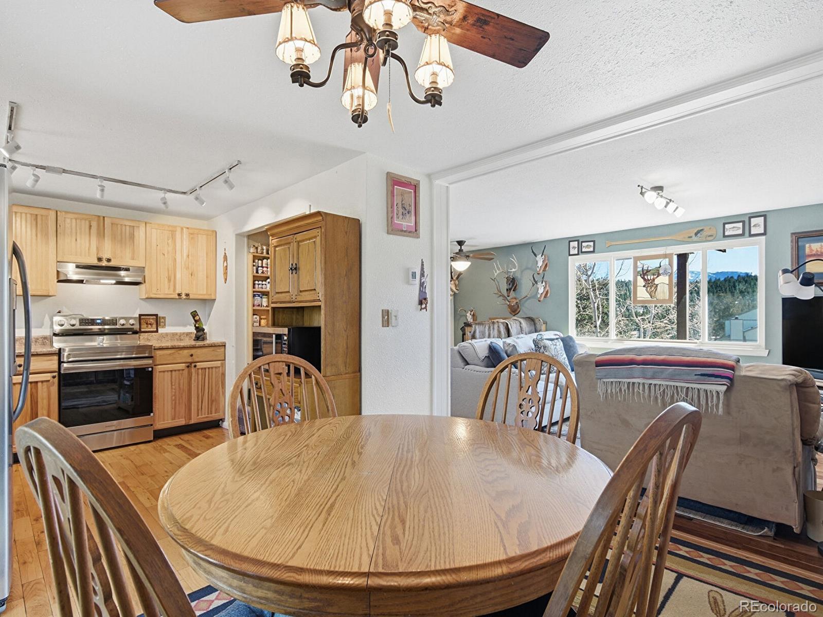 MLS Image #6 for 399  conifer drive,bailey, Colorado