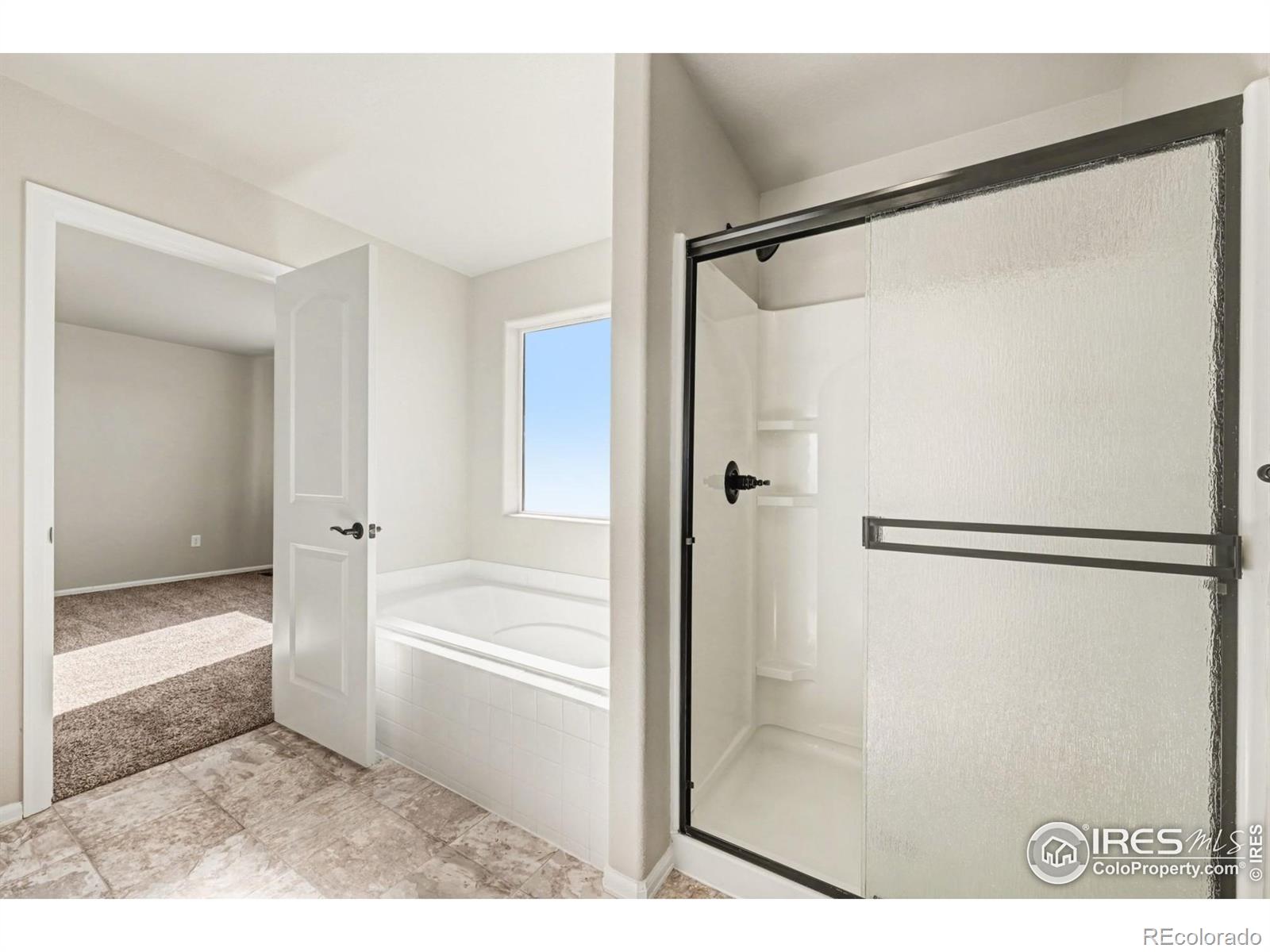 MLS Image #21 for 4624  mountain sky court,johnstown, Colorado