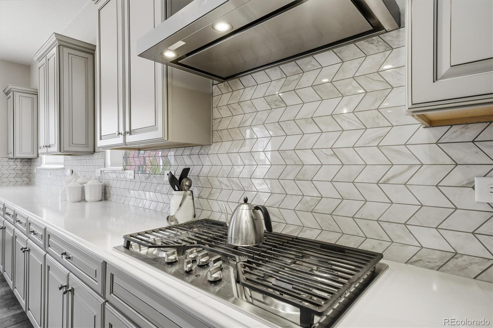 MLS Image #12 for 9035  basalt lane,littleton, Colorado