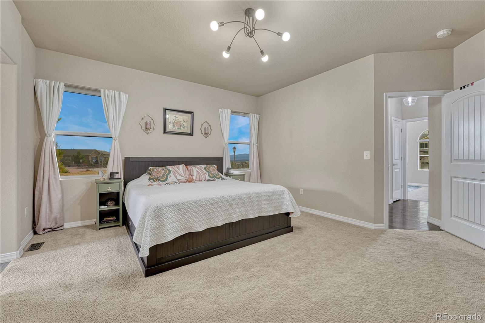 MLS Image #29 for 16017  denver pacific drive,monument, Colorado