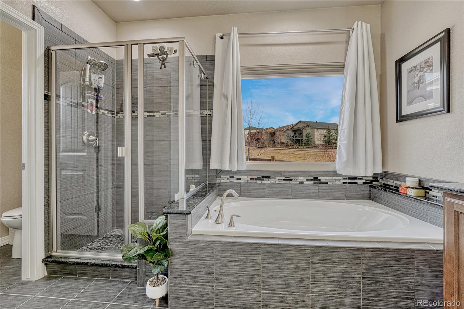 MLS Image #33 for 16017  denver pacific drive,monument, Colorado