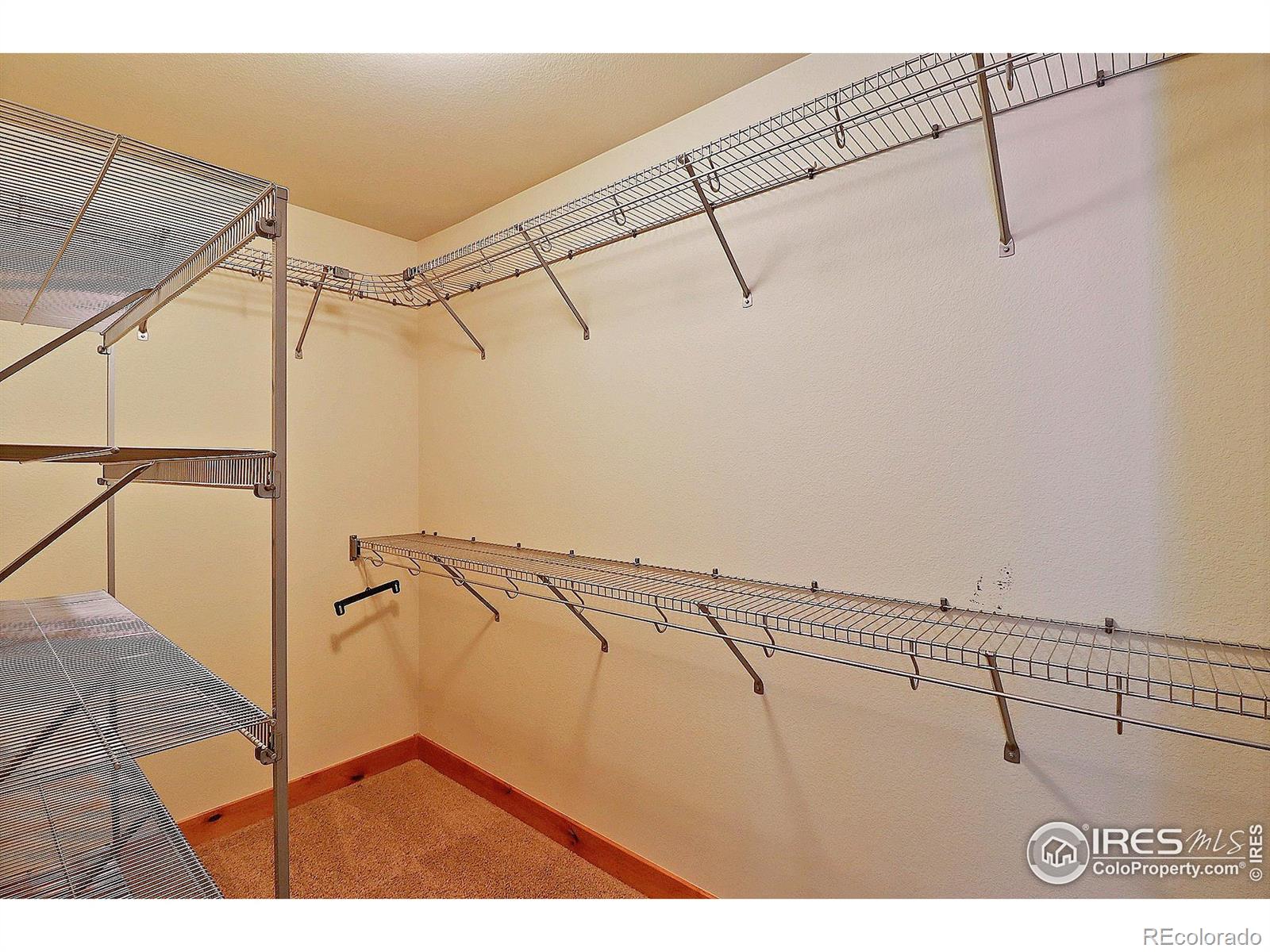MLS Image #37 for 1753  clear creek court,windsor, Colorado