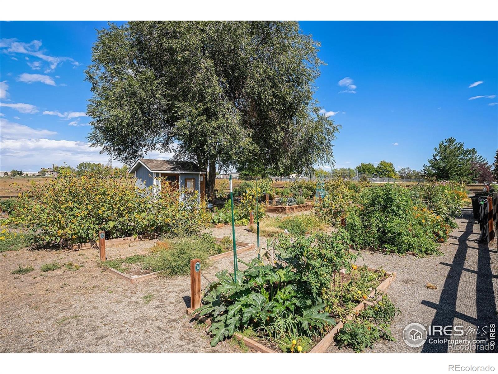 MLS Image #33 for 11397  navajo circle,westminster, Colorado