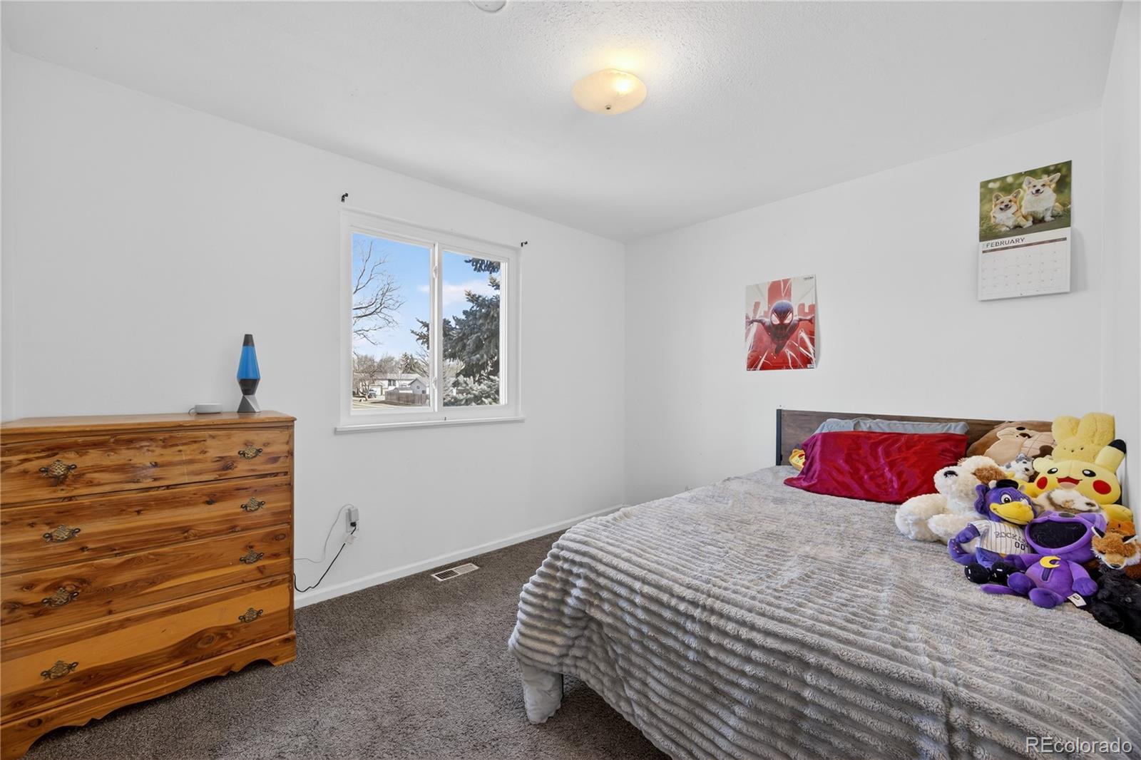 MLS Image #12 for 7107  wright court,arvada, Colorado
