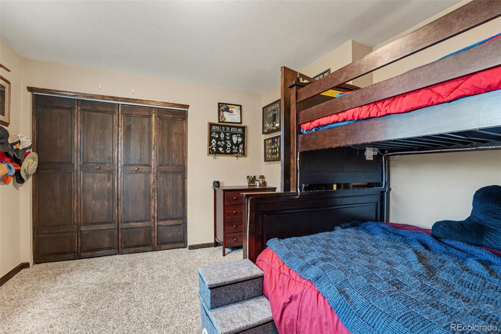 MLS Image #15 for 6224  powell road,parker, Colorado