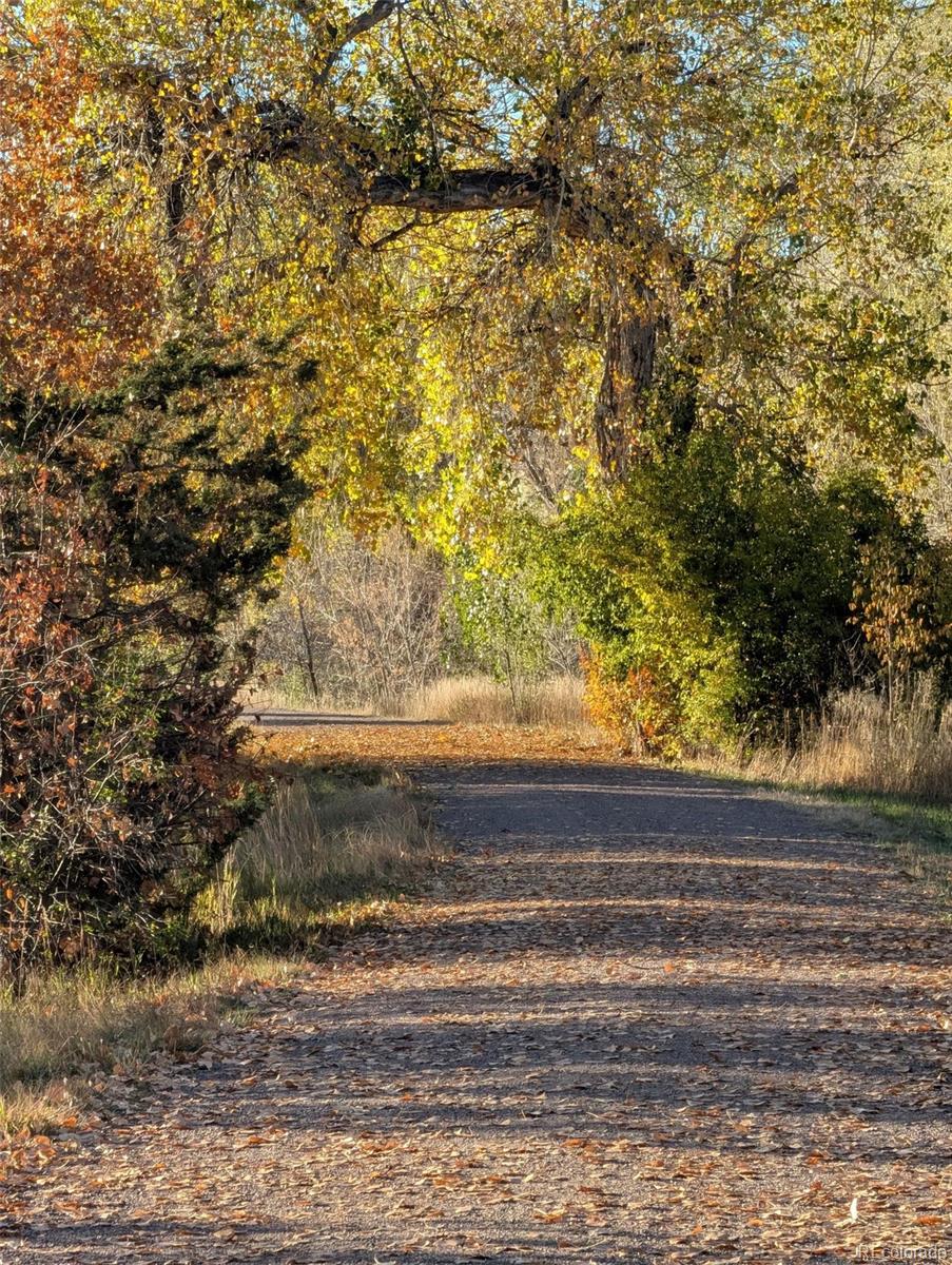 MLS Image #23 for 140 e highline circle,centennial, Colorado