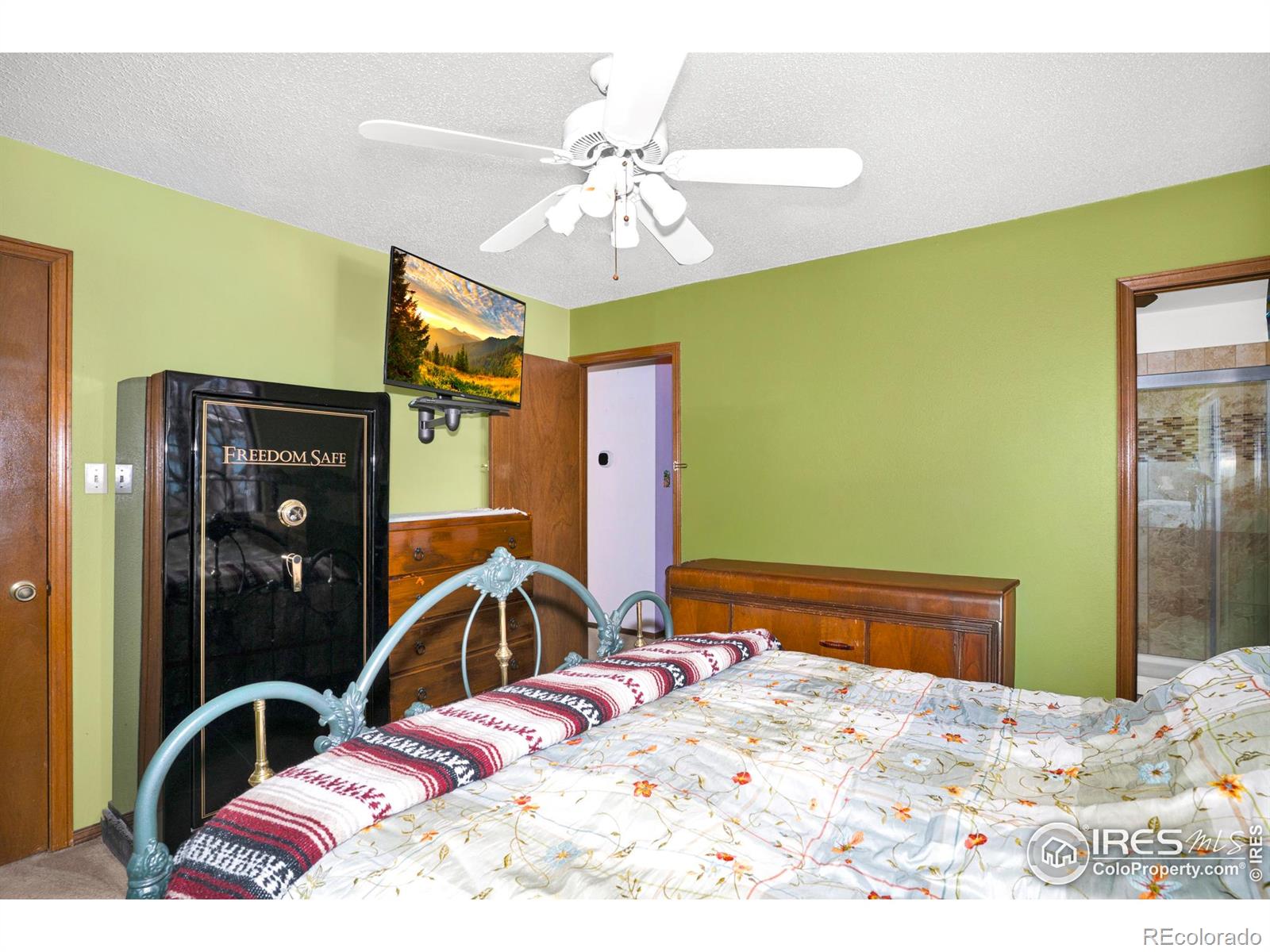 MLS Image #15 for 151  3rd street,frederick, Colorado
