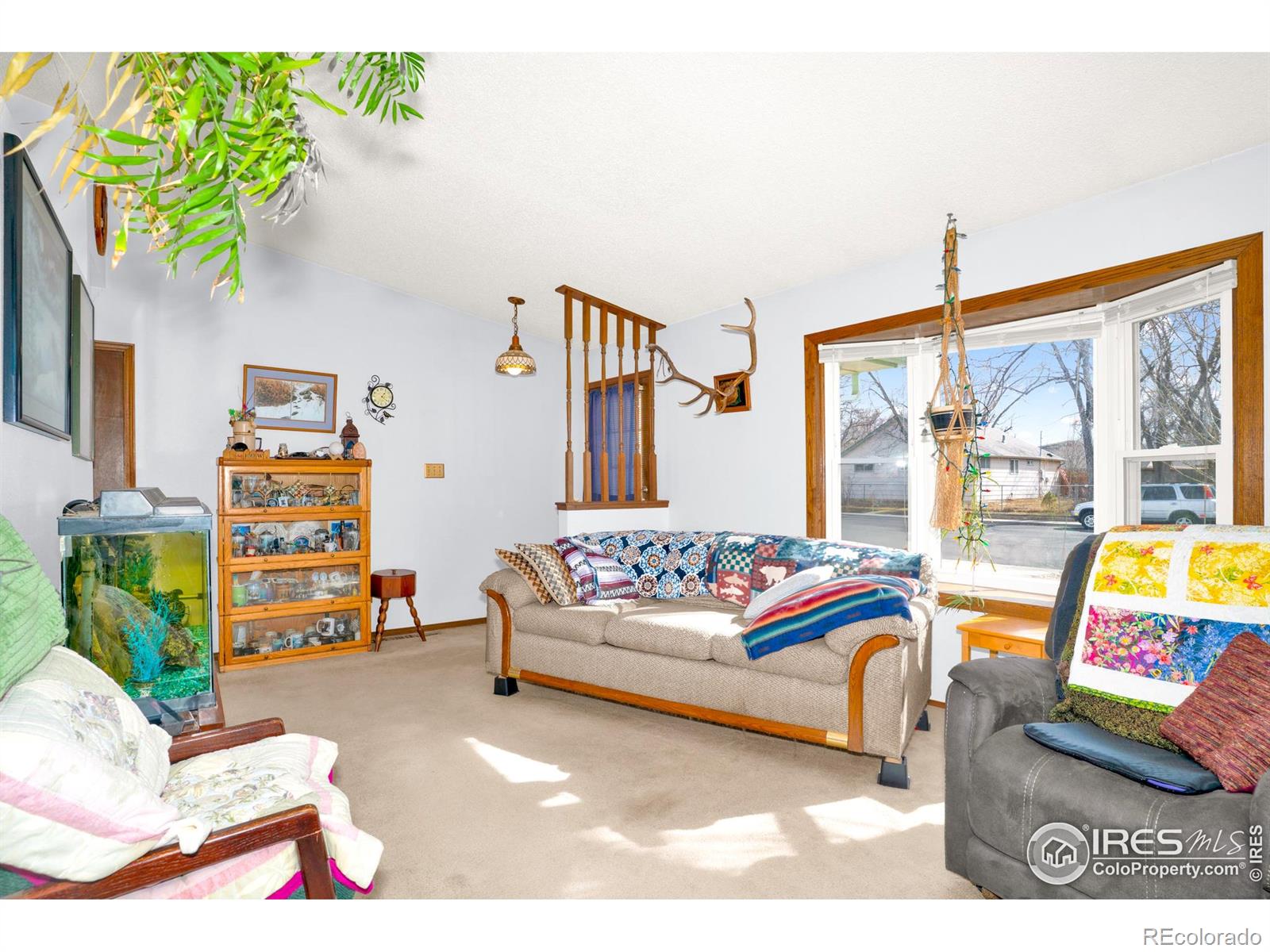 MLS Image #4 for 151  3rd street,frederick, Colorado