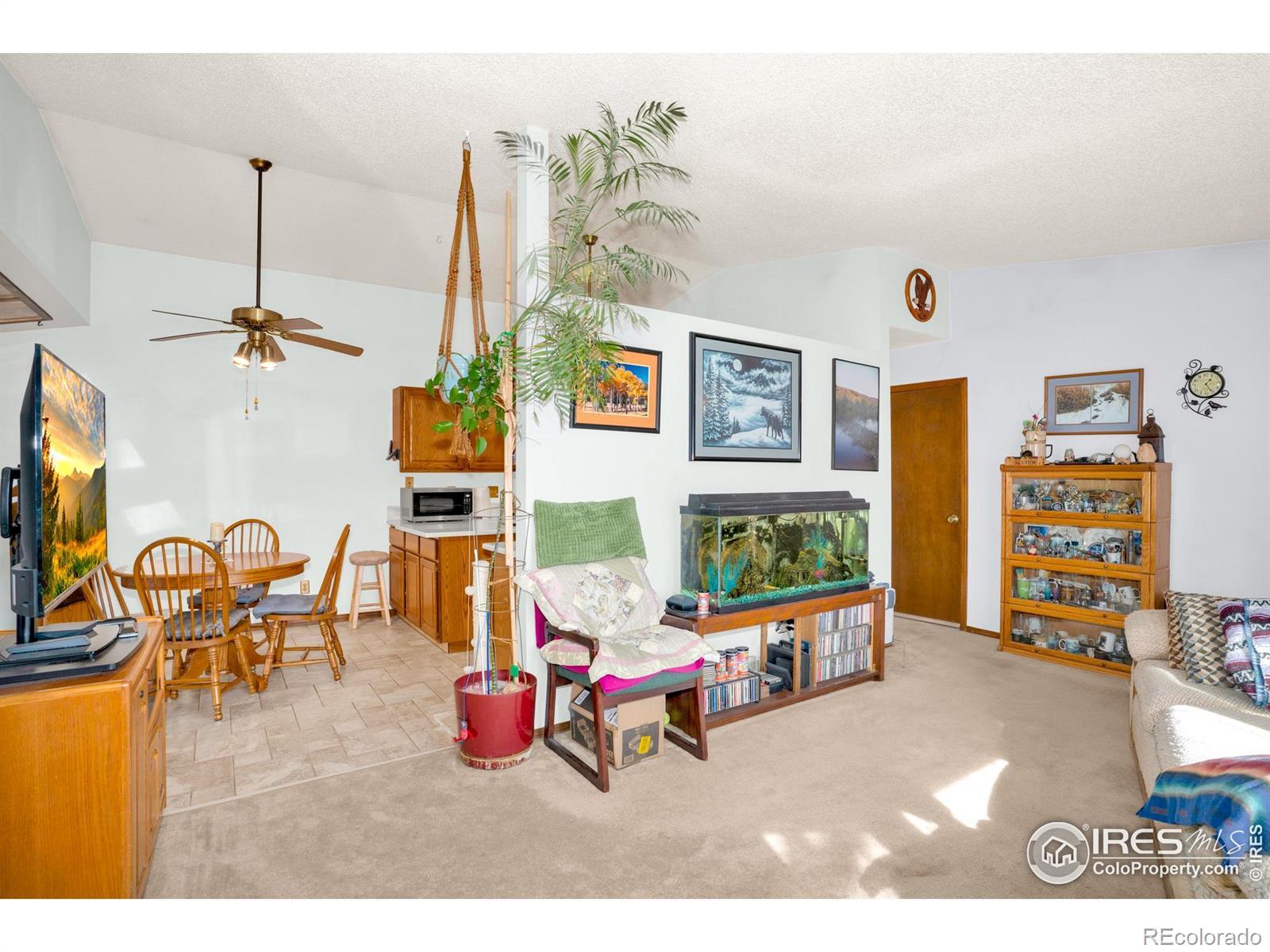 MLS Image #5 for 151  3rd street,frederick, Colorado