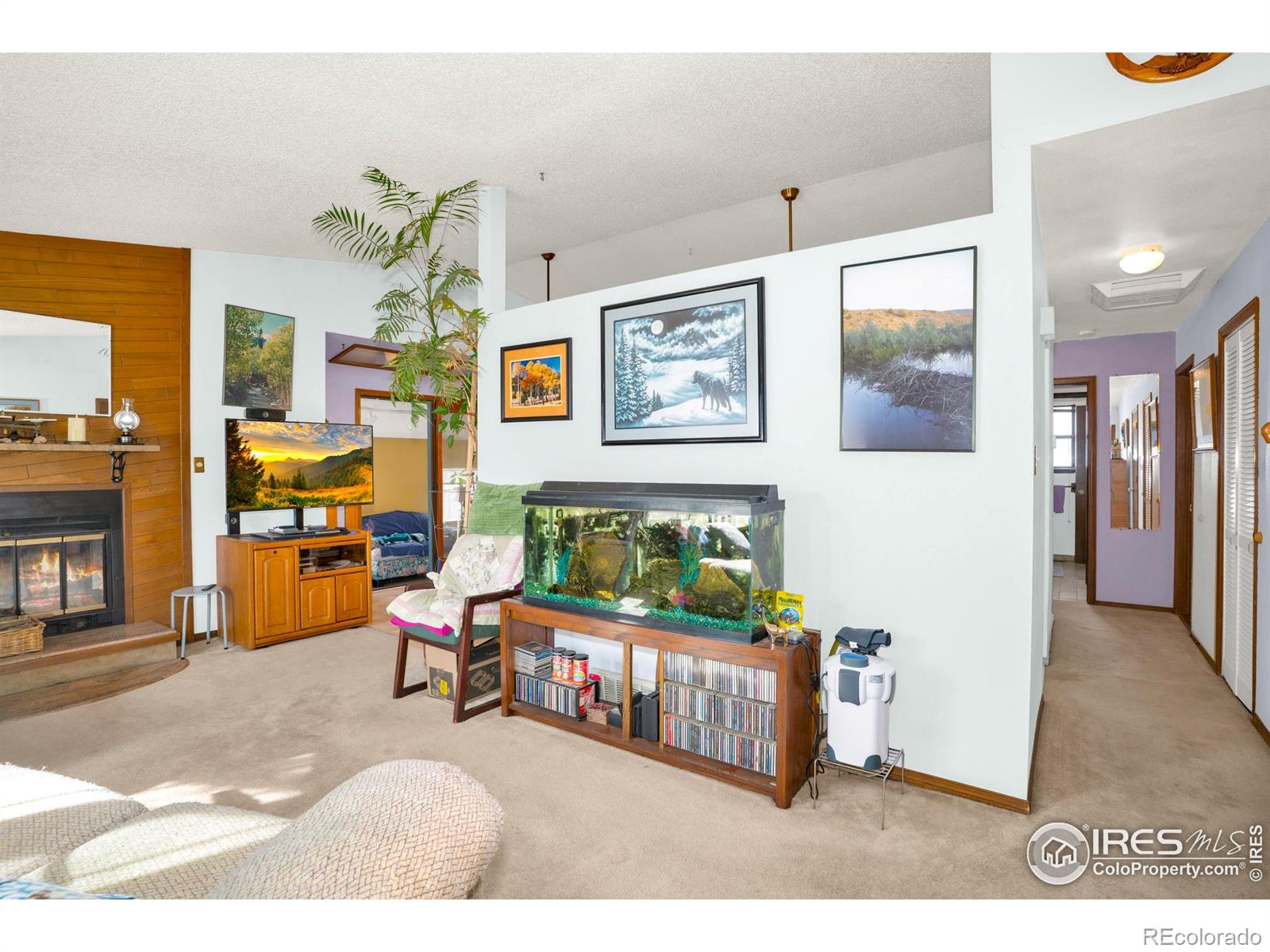 MLS Image #7 for 151  3rd street,frederick, Colorado