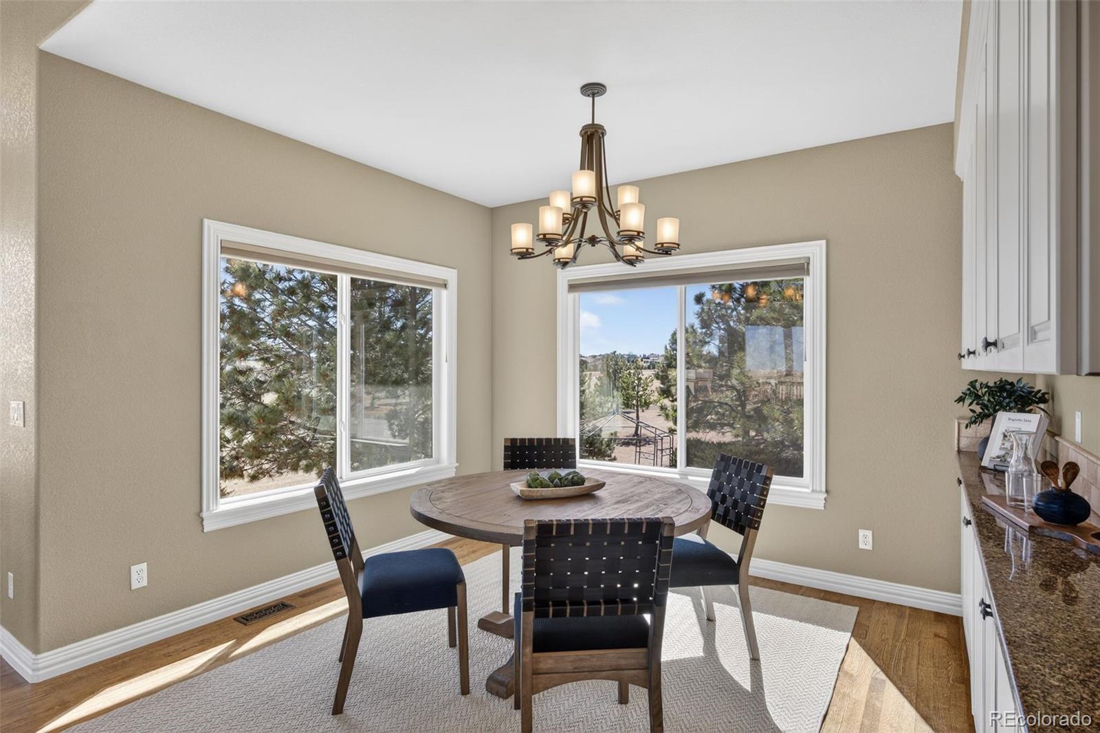 MLS Image #11 for 291 n pines trail,parker, Colorado