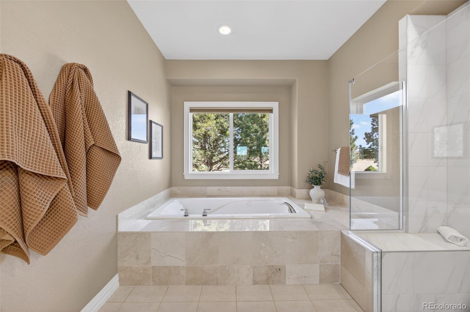 MLS Image #29 for 291 n pines trail,parker, Colorado