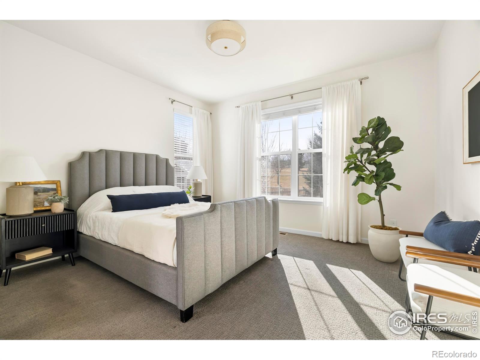 MLS Image #11 for 3245  bryce drive,fort collins, Colorado