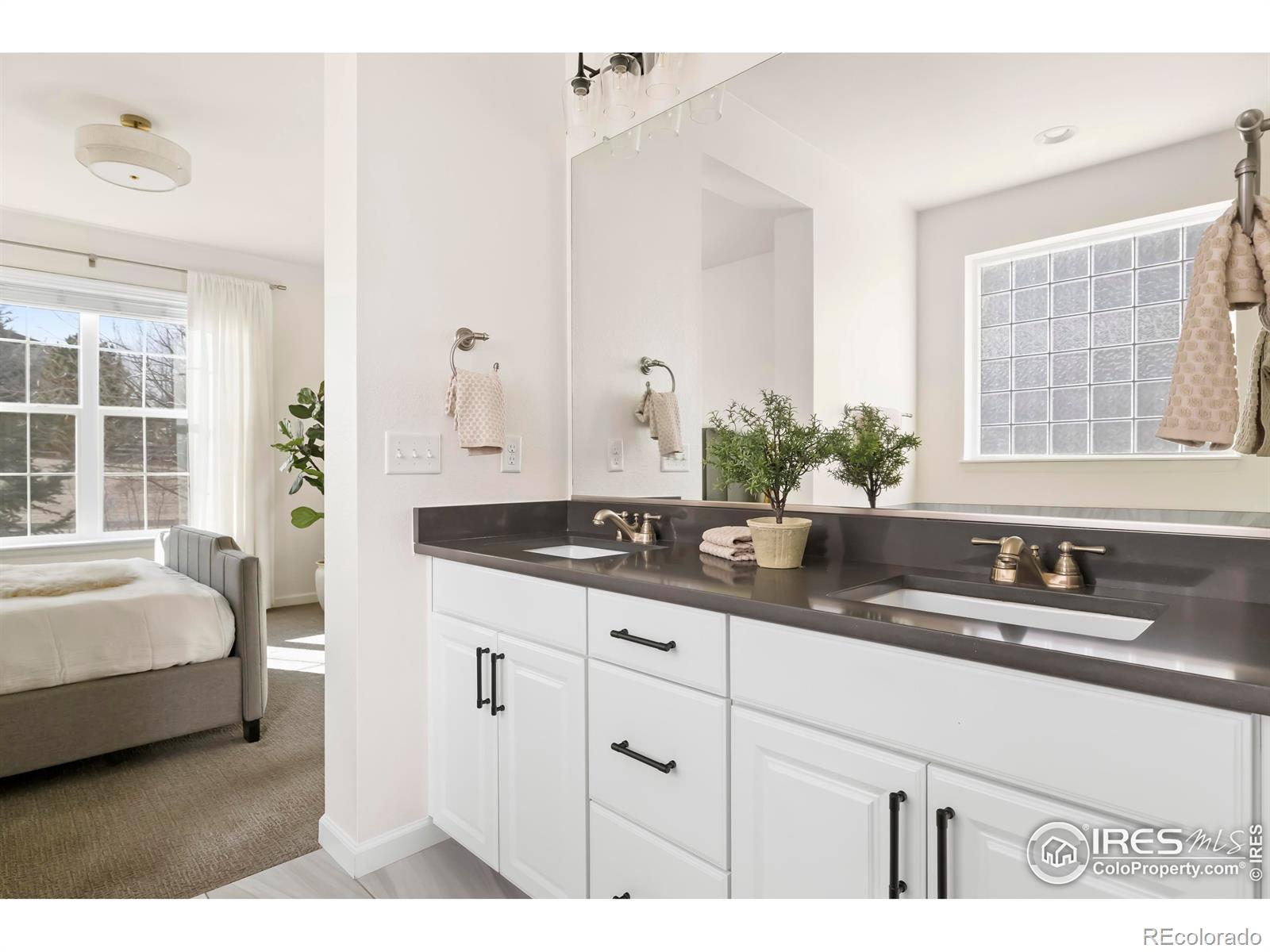 MLS Image #14 for 3245  bryce drive,fort collins, Colorado