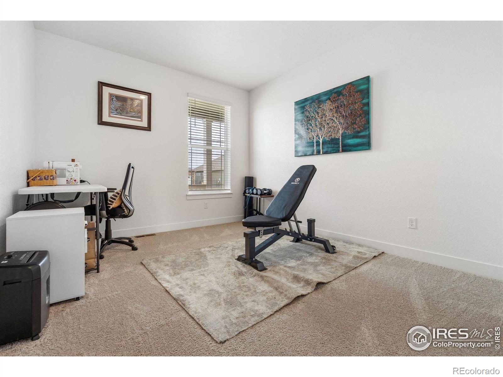 MLS Image #19 for 1832  sawtooth mountain drive,berthoud, Colorado