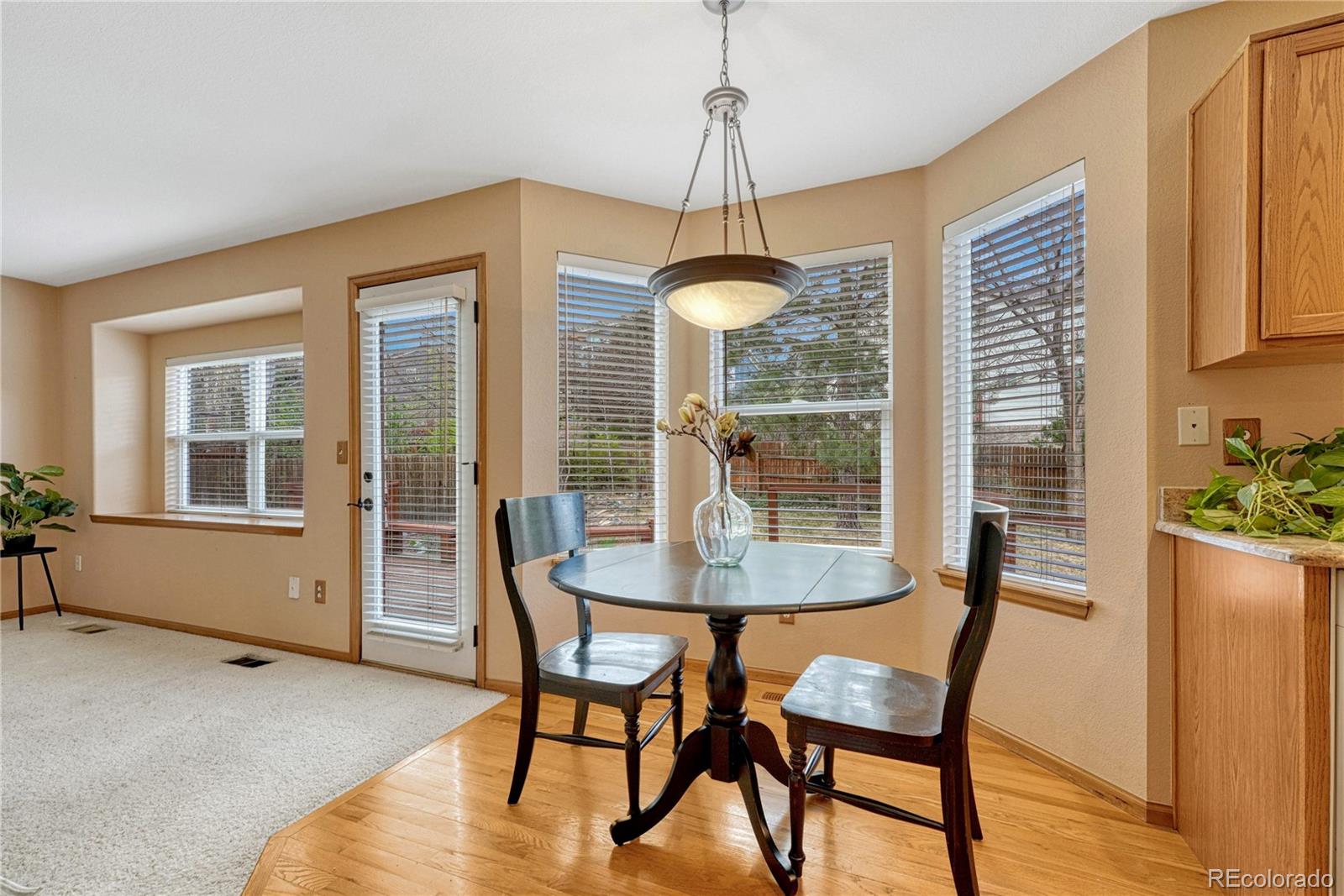 MLS Image #21 for 5772 s truckee street,centennial, Colorado